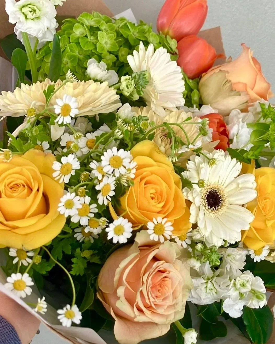 IMG_5526.jpg