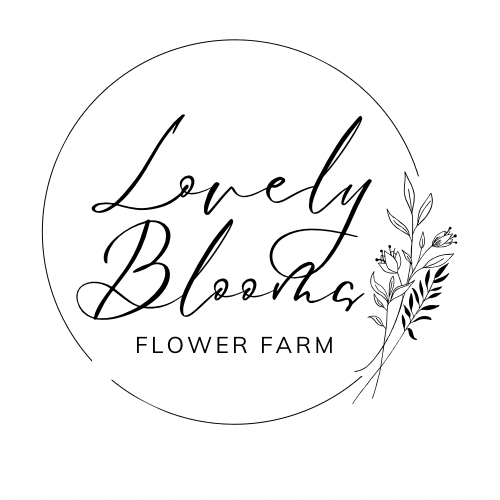 local florist flower farmer lovely farm blooms bloom bouquet Valentine's Day Mother's anniversary flowers