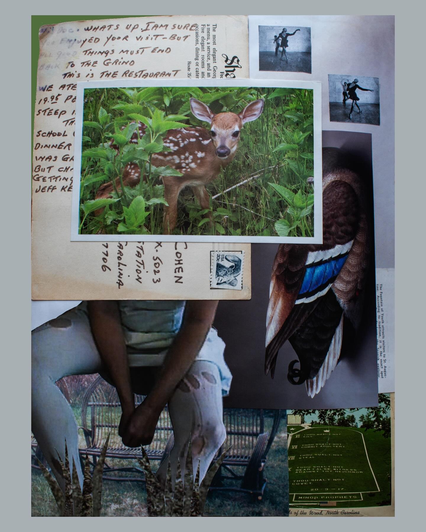 &ldquo;Dear North Carolina&rdquo; collage 🦌