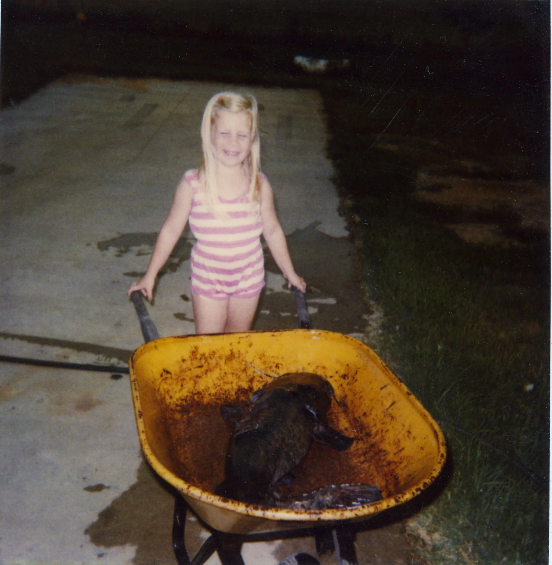 A young girl with blonde hair wearing a pink and white striped outfit, smiling and standing on a concrete surface, holding a yellow wheelbarrow containing a large fish. The background features a dark body of water and some grass.