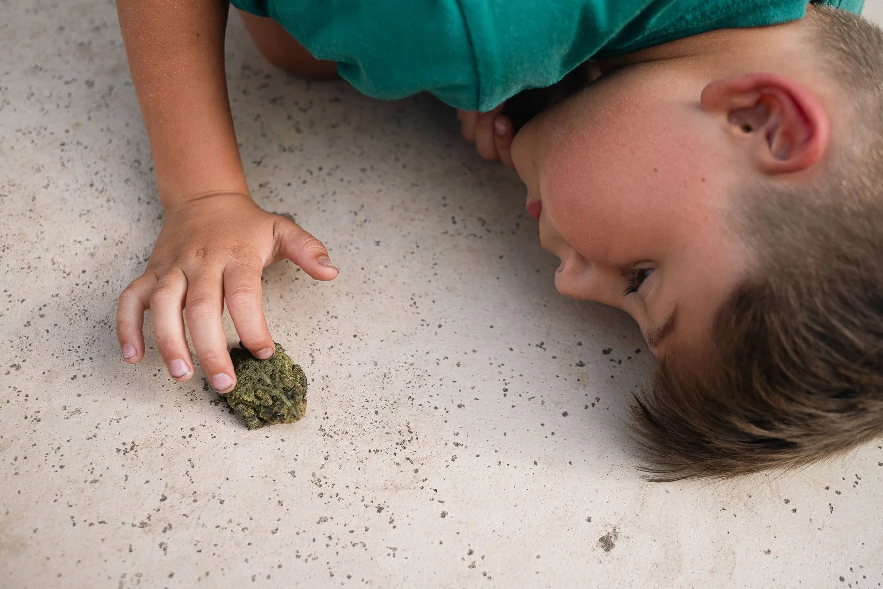 A young boy with blonde hair lying on the floor, looking at a small frog he is holding with his right hand.