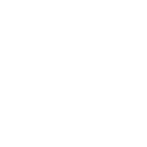 Logo met de tekst 'VILLA ETERNIA' onder een lijntekening van een bloem of kroon, op zwarte achtergrond.