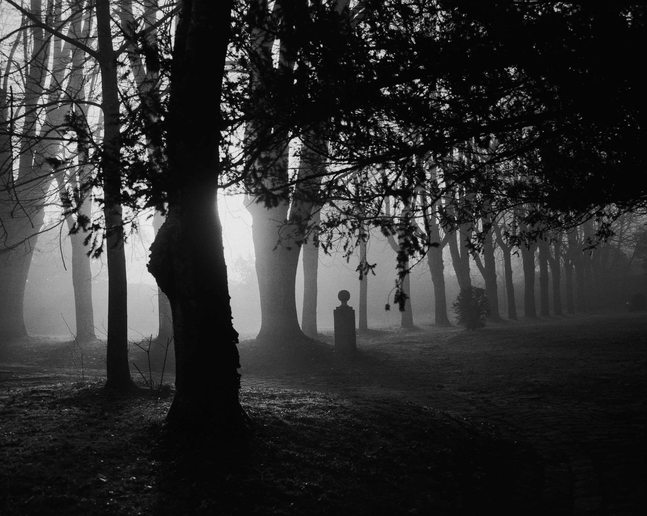 A black and white photograph of a foggy forest with trees and a pathway. There is a statue or monument with a sphere on top in the background.