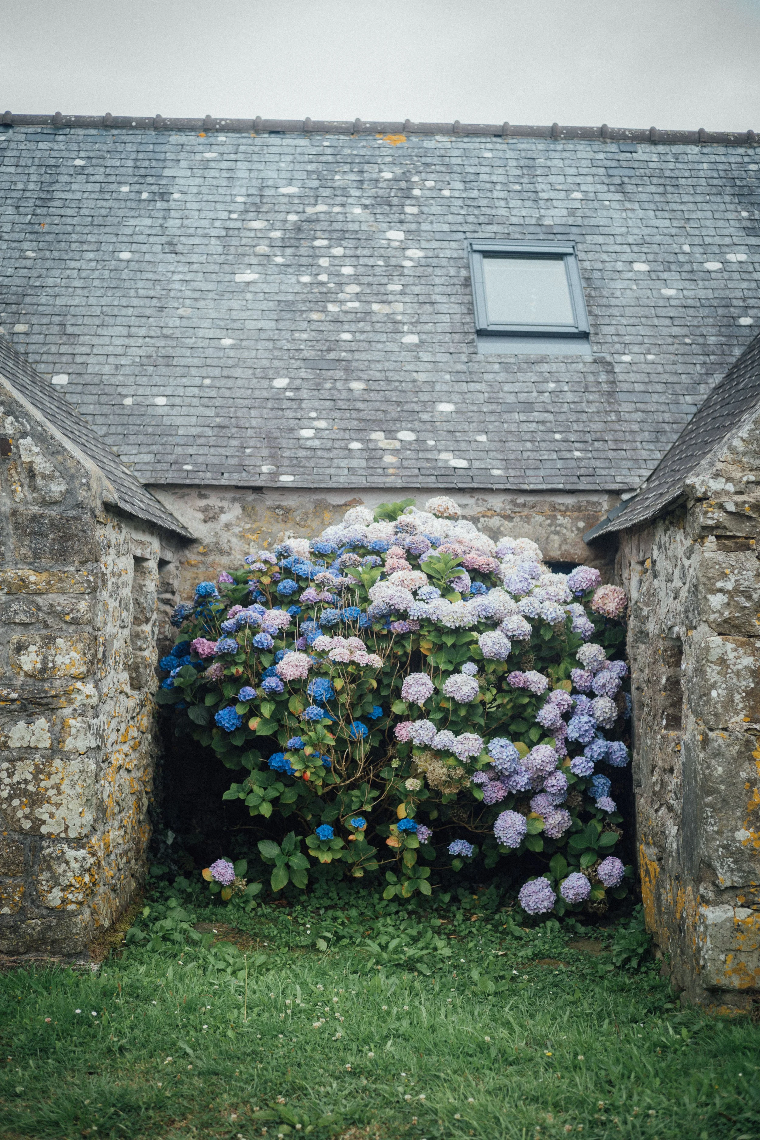 bretagne-077.jpg