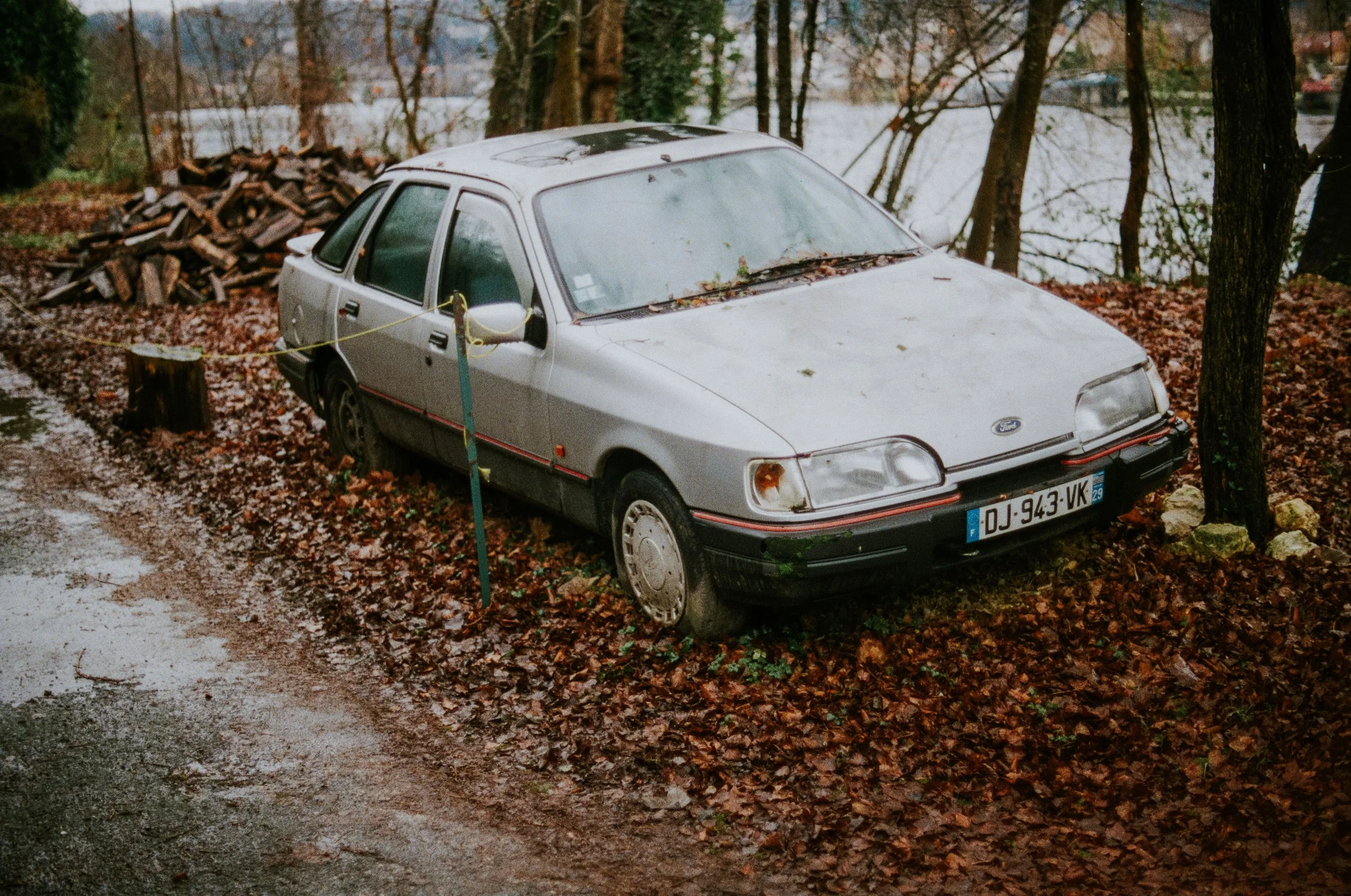 An old silver Ford sedan parked on a leaf-covered ground near a wooded area beside a body of water, with a pole and a tree nearby, and a pile of firewood in the background.
