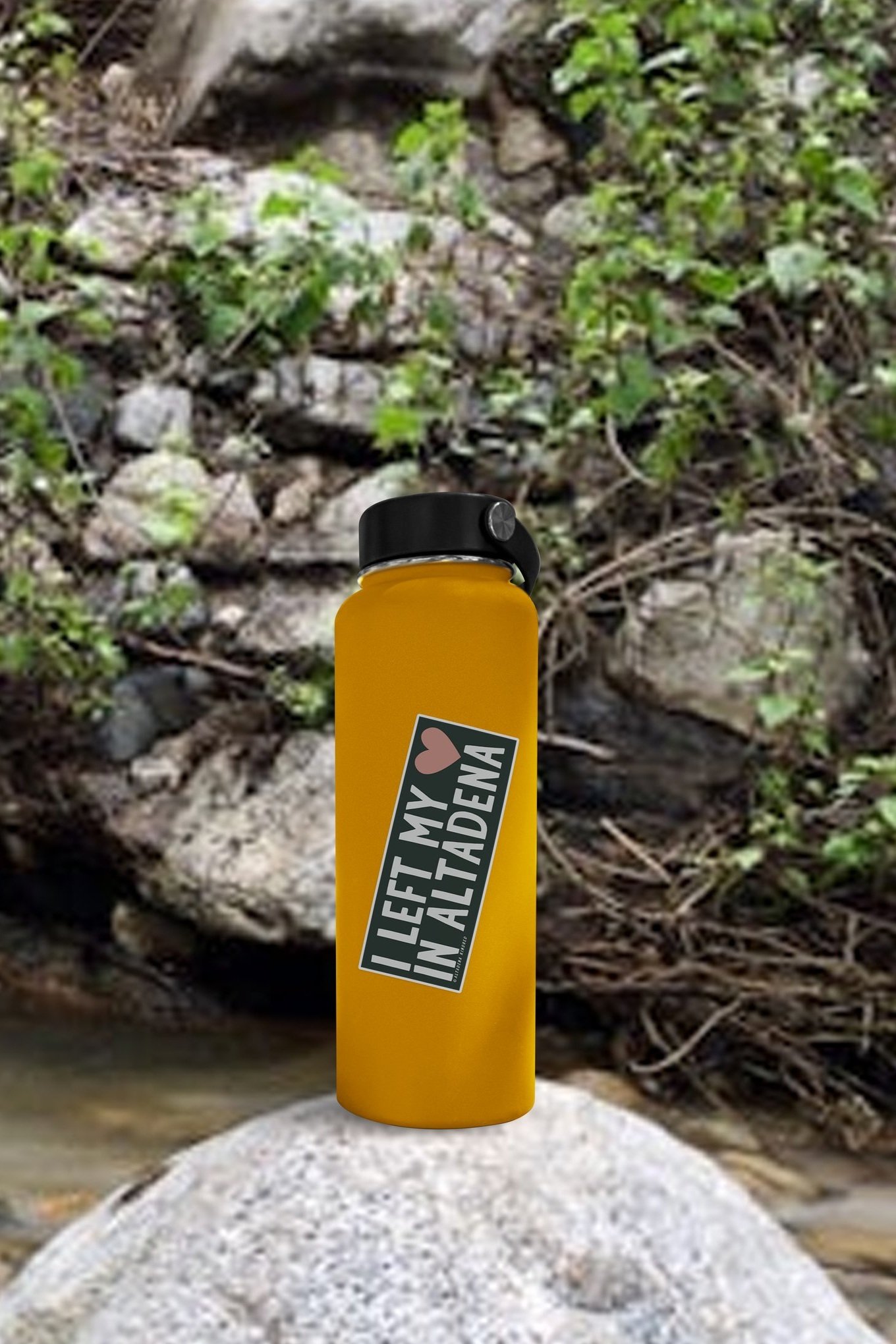 AK+water+bottle+w+sticker.jpg
