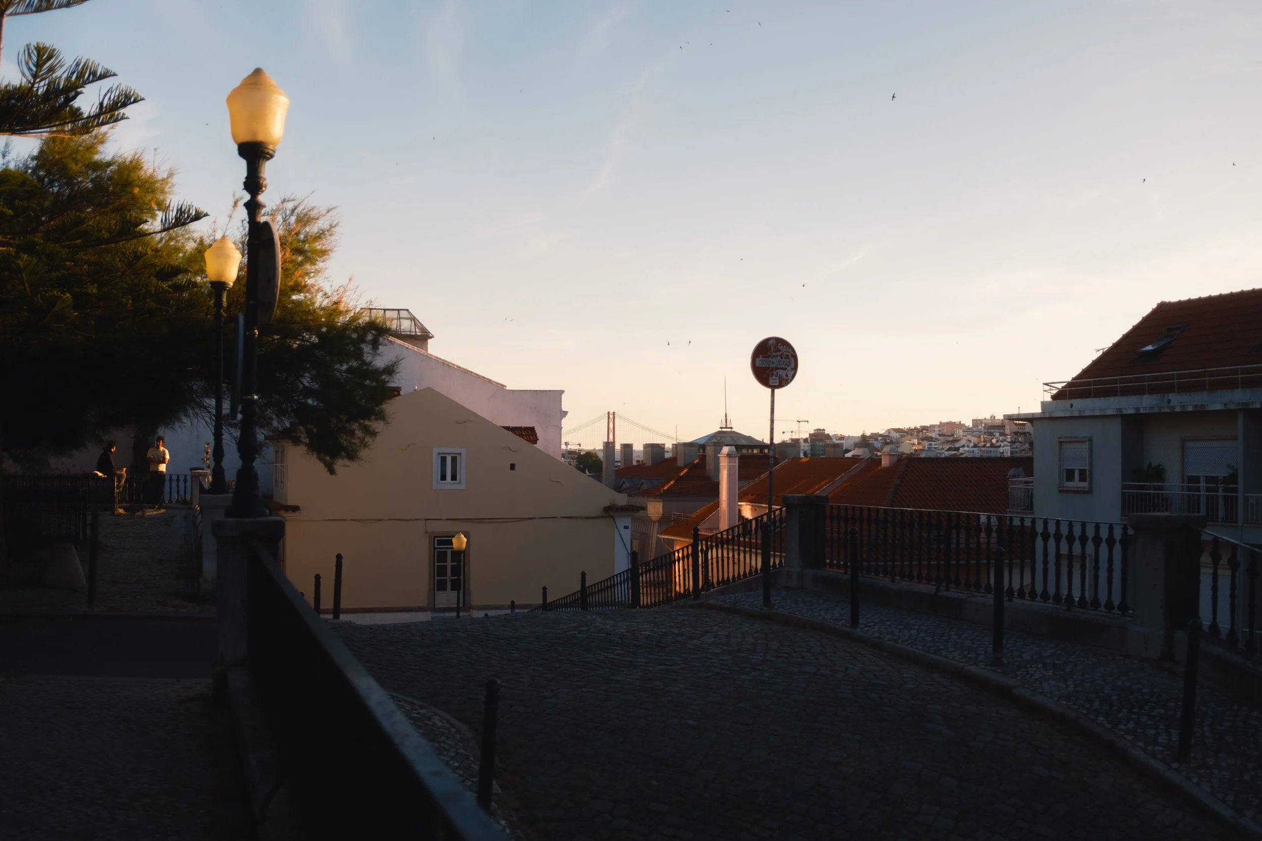DSCF0549.jpg