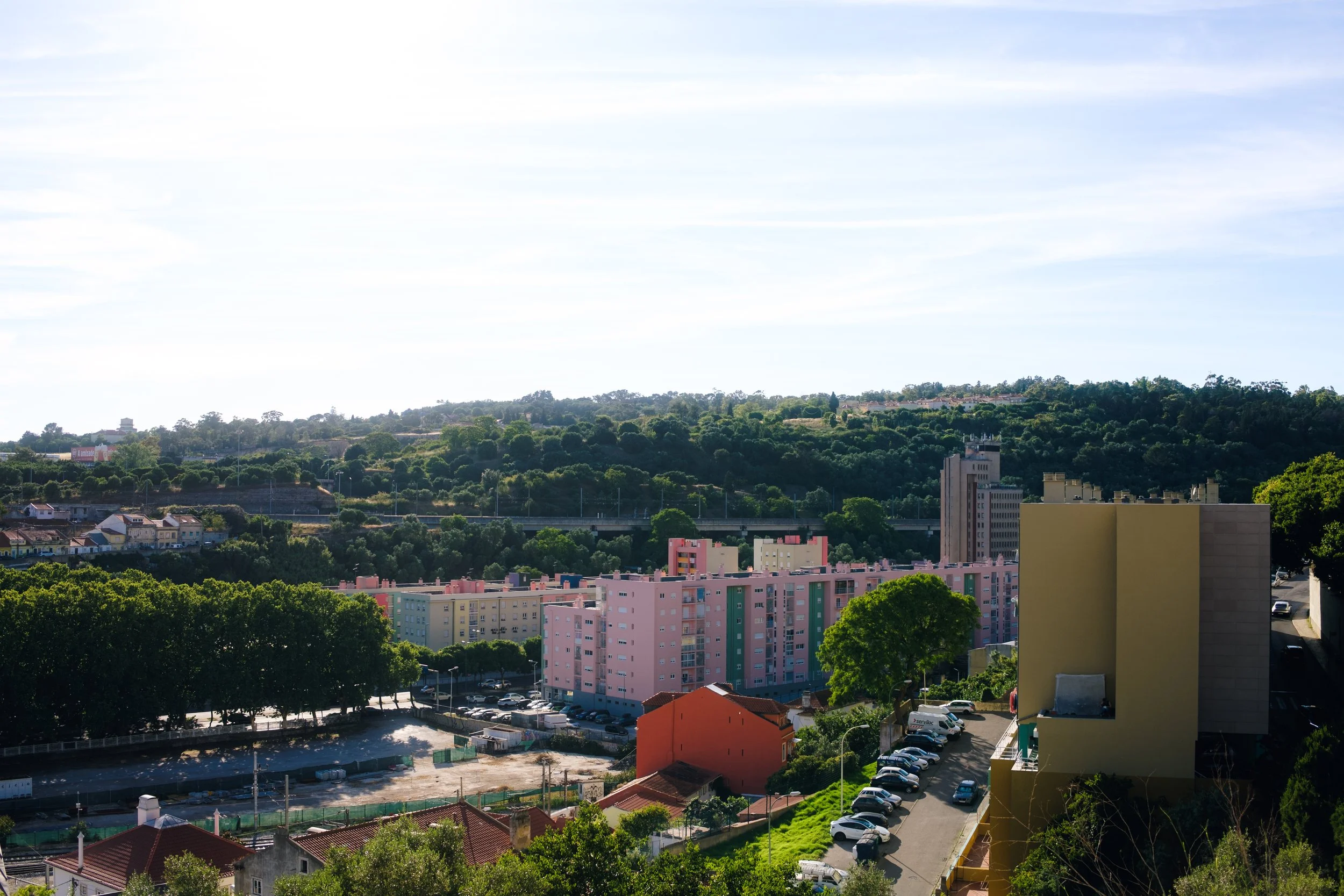 DSCF0519.jpg