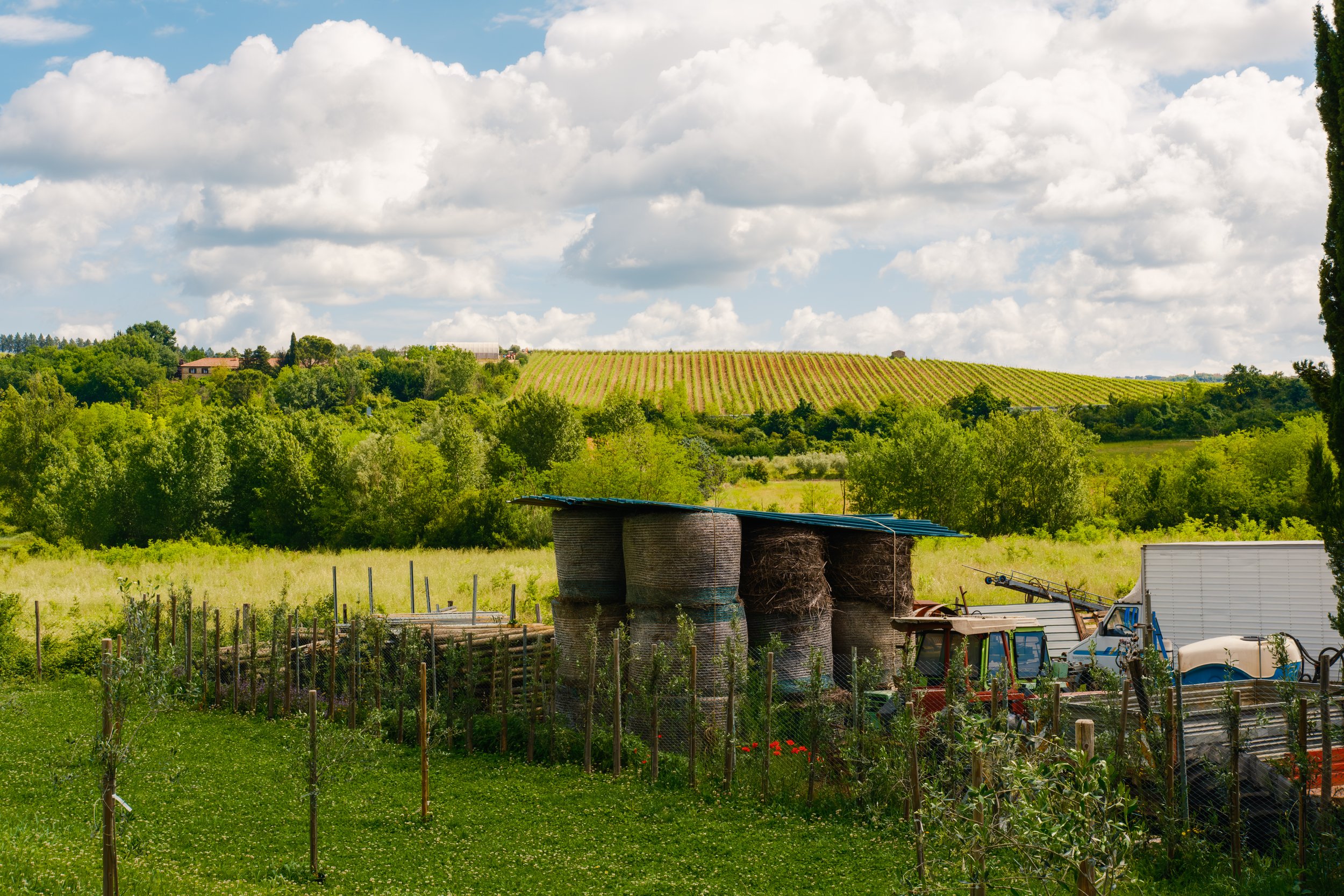 DSCF0474.jpg