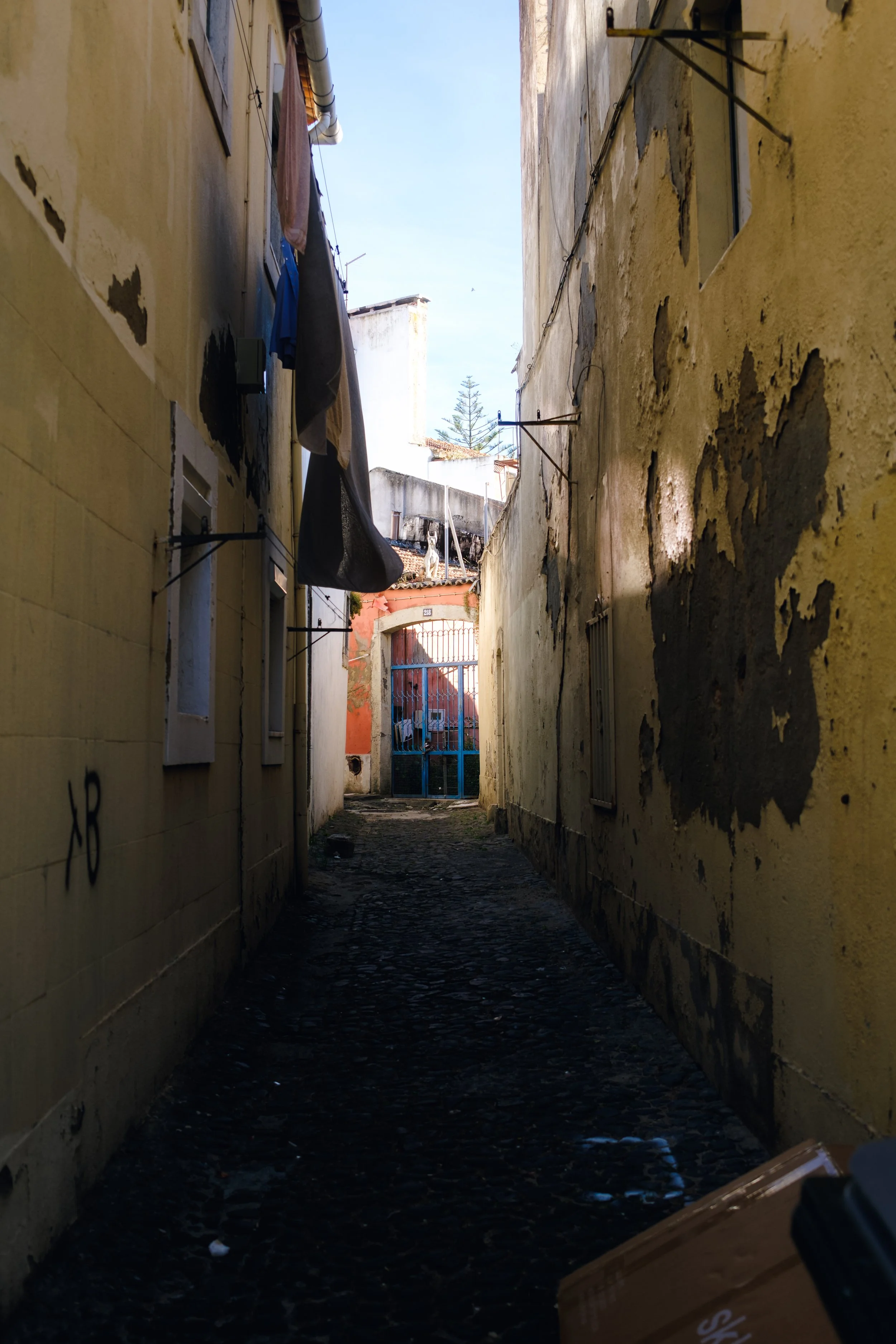 DSCF0522.jpg