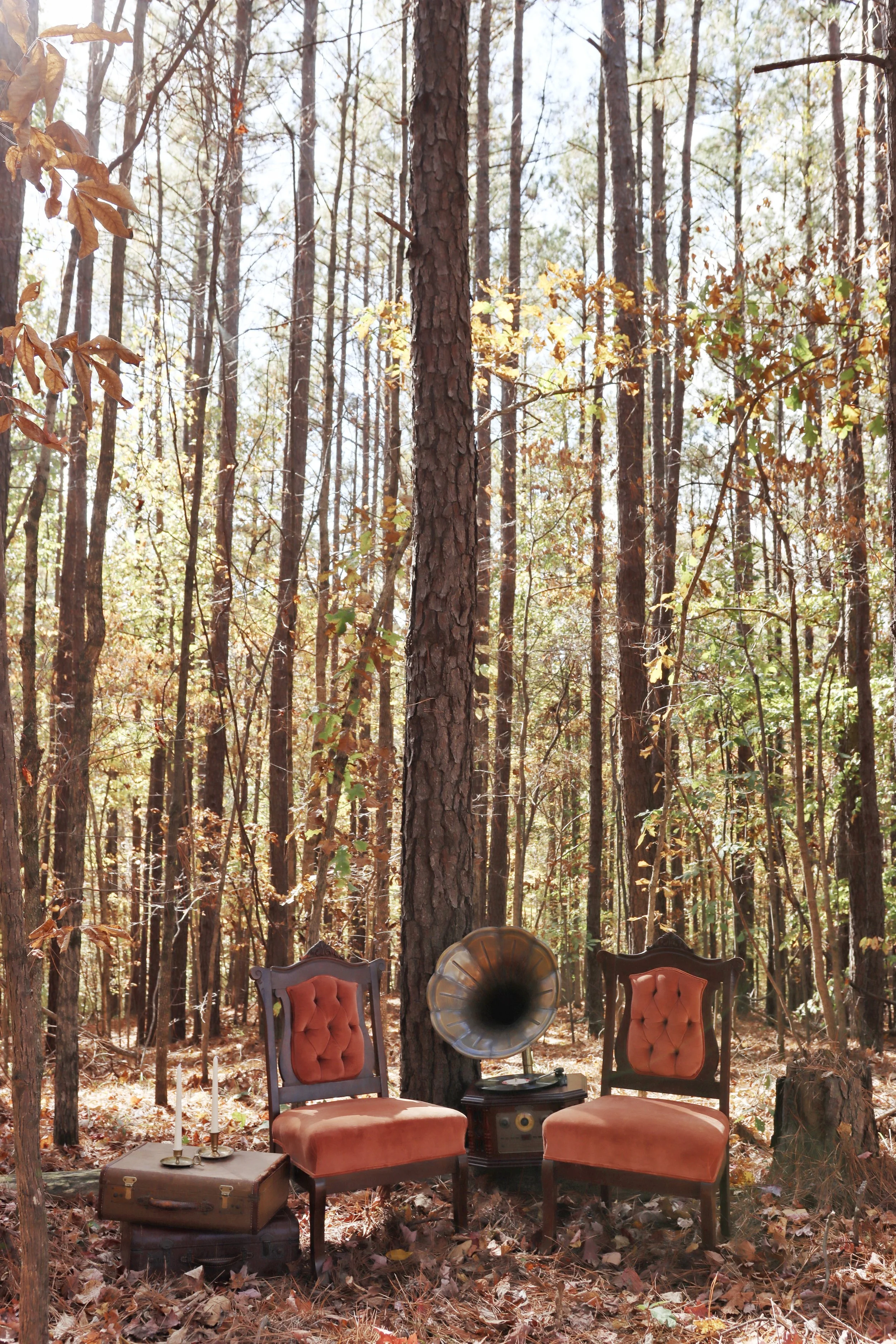 IMG_5039 14 Edited.jpg