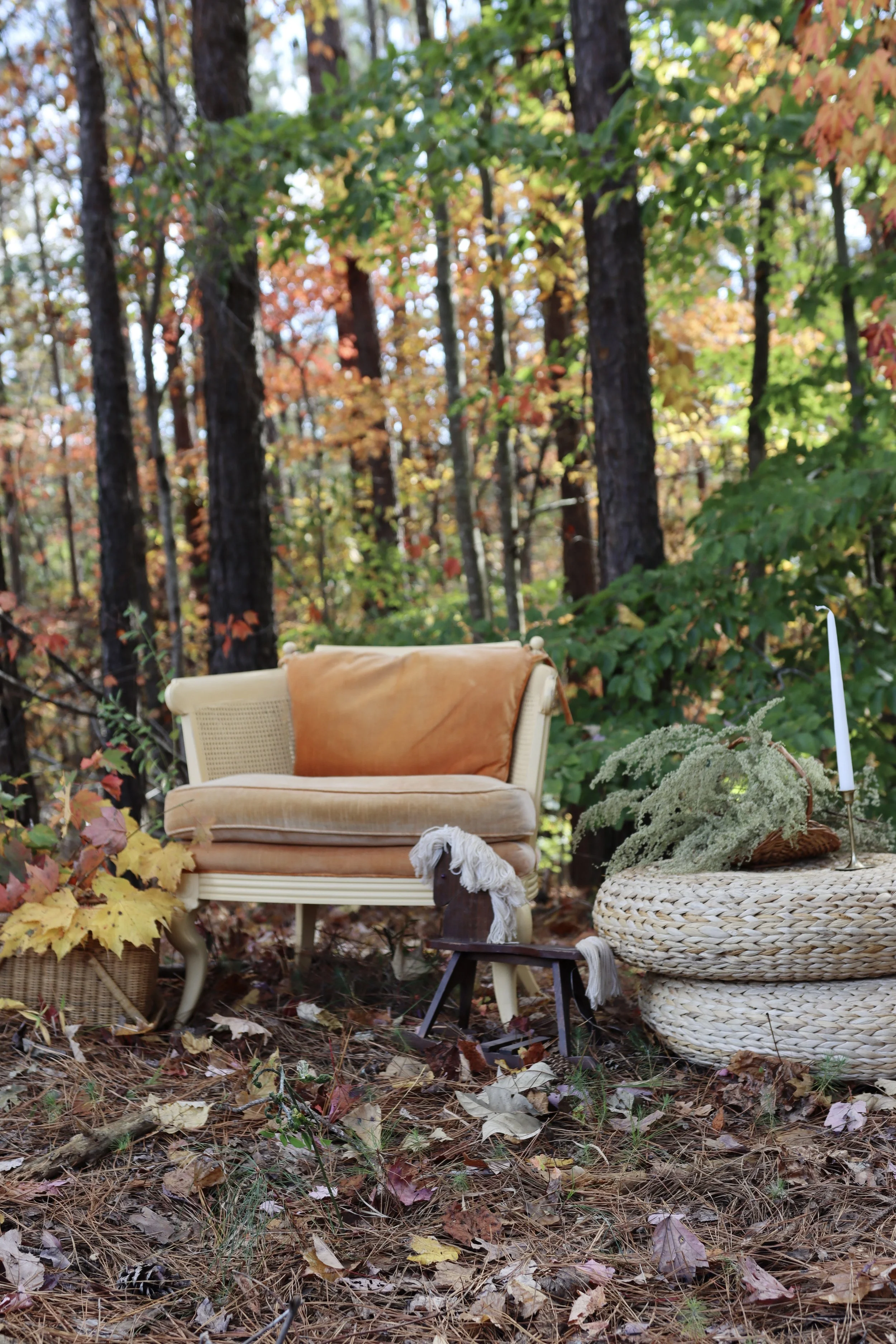 IMG_5062 21 Edited.jpg