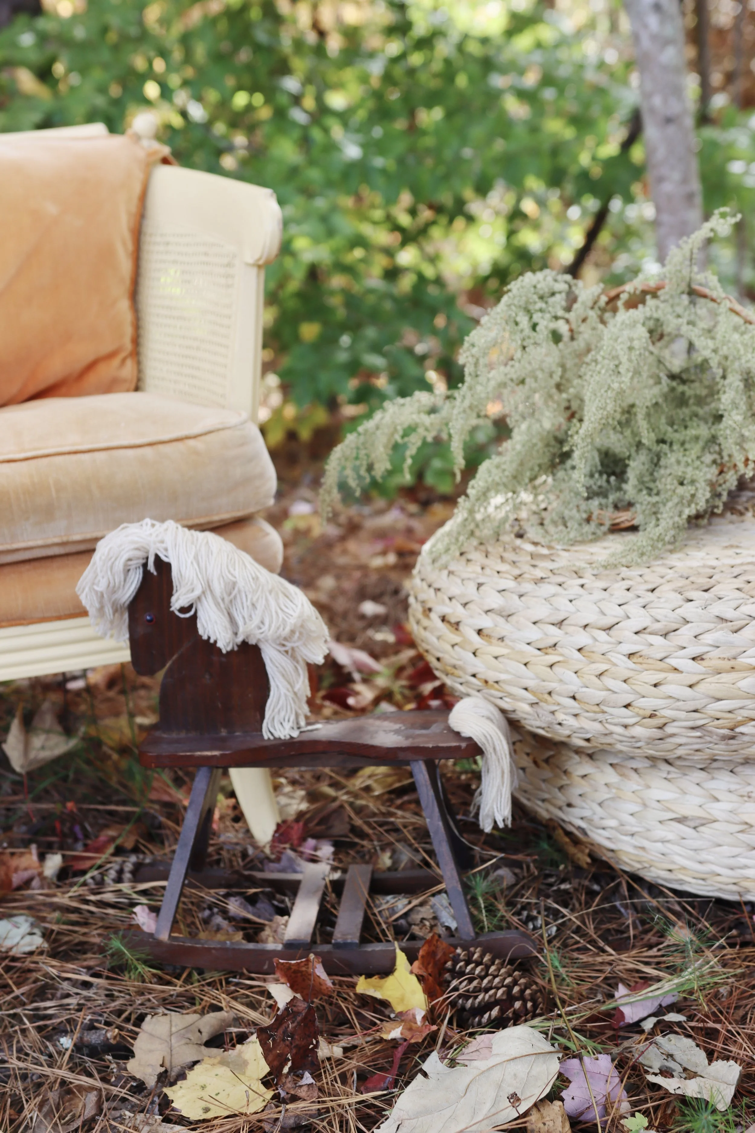 IMG_5070 25 Edited.jpg