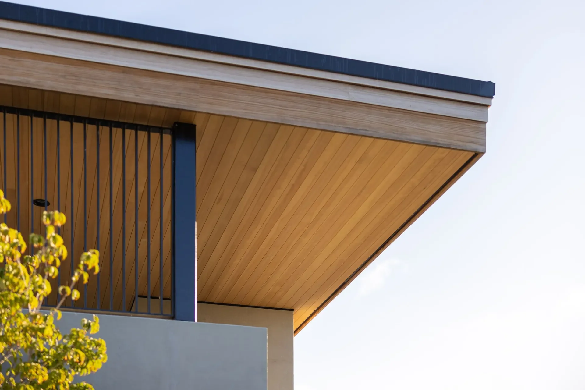 Close-up of modern building's corner showing wooden ceiling, black metal railing, and overhanging roof with a tree in the foreground.