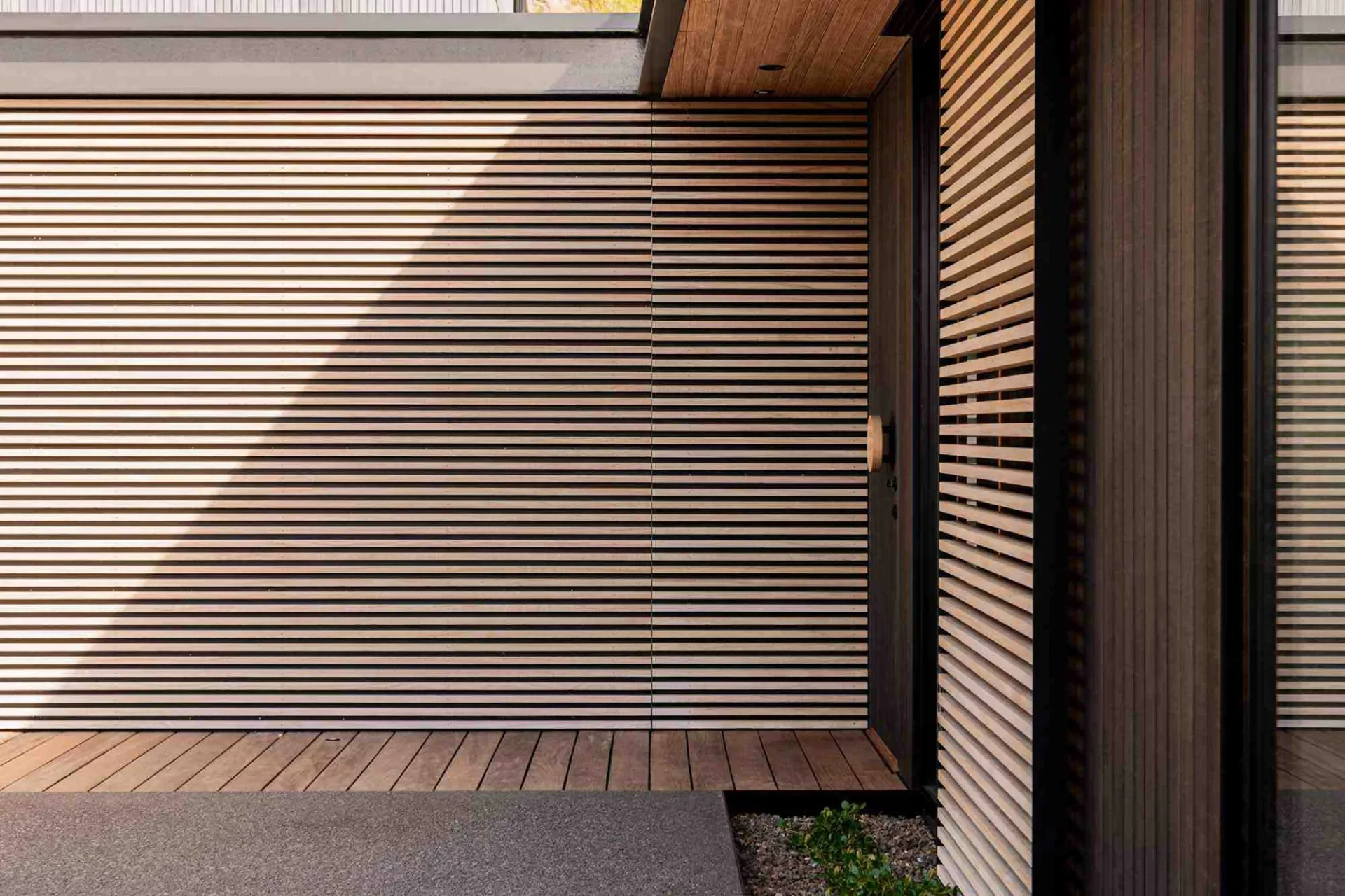 Modern building exterior with wooden slats and door, sunlight casting shadow on wall, small green plant at bottom corner.