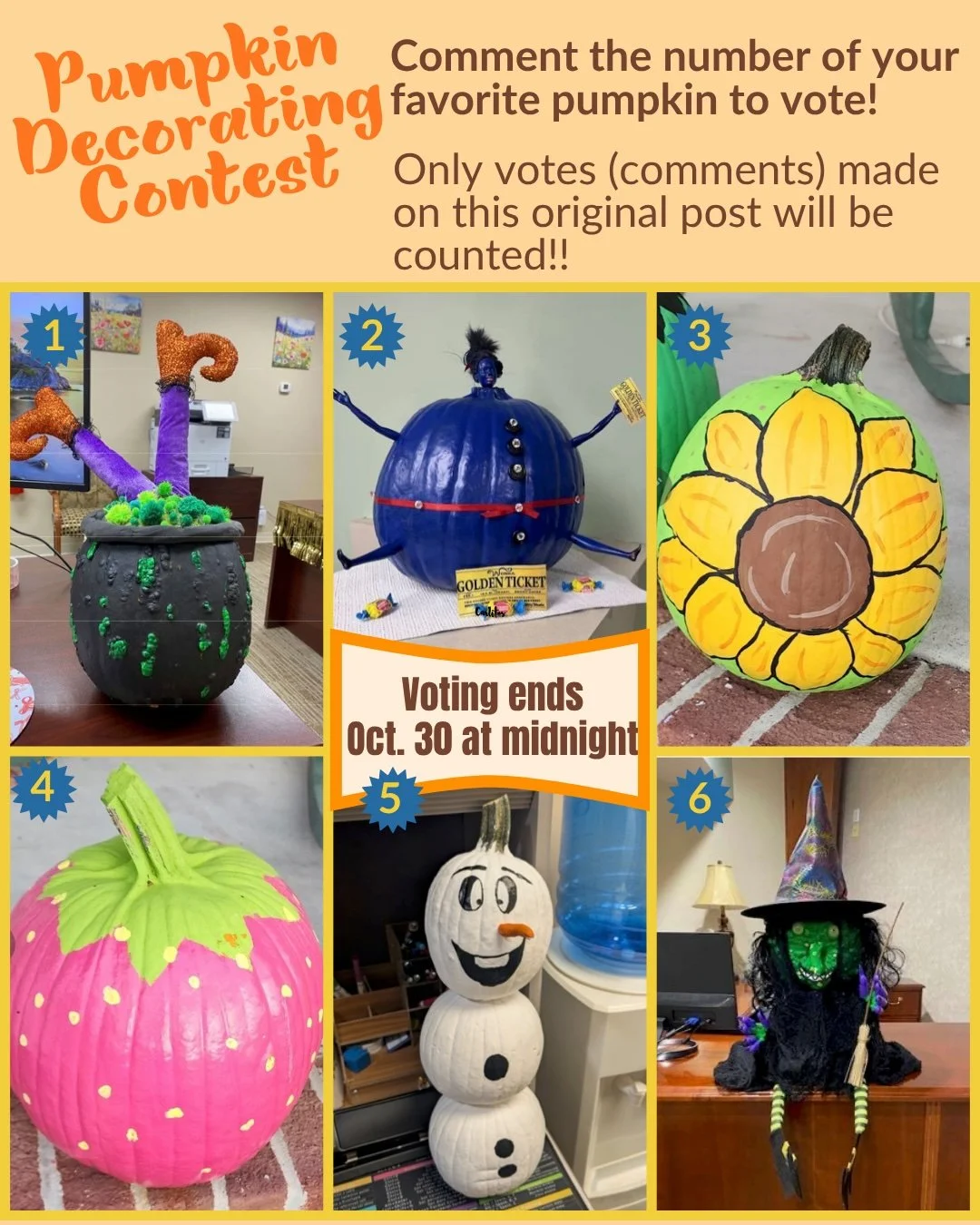 It wouldn't be Halloween without the NGNB Annual Pumpkin Decorating Contest!🎃 And YOU get to choose our winner!

To vote just comment the number of your favorite pumpkin below.🗳 You can also share this post so others can vote, too! But only votes o