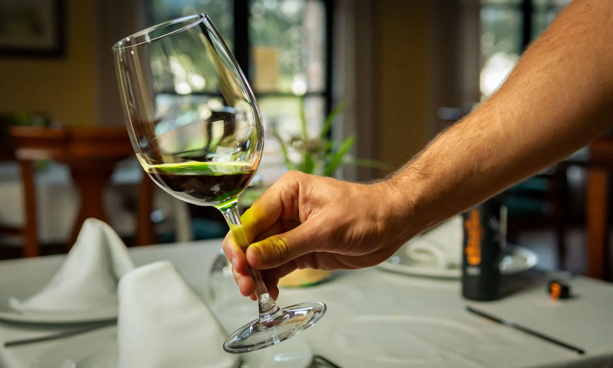 Extra virgin olive oil held in a tasting glass showing its golden colour