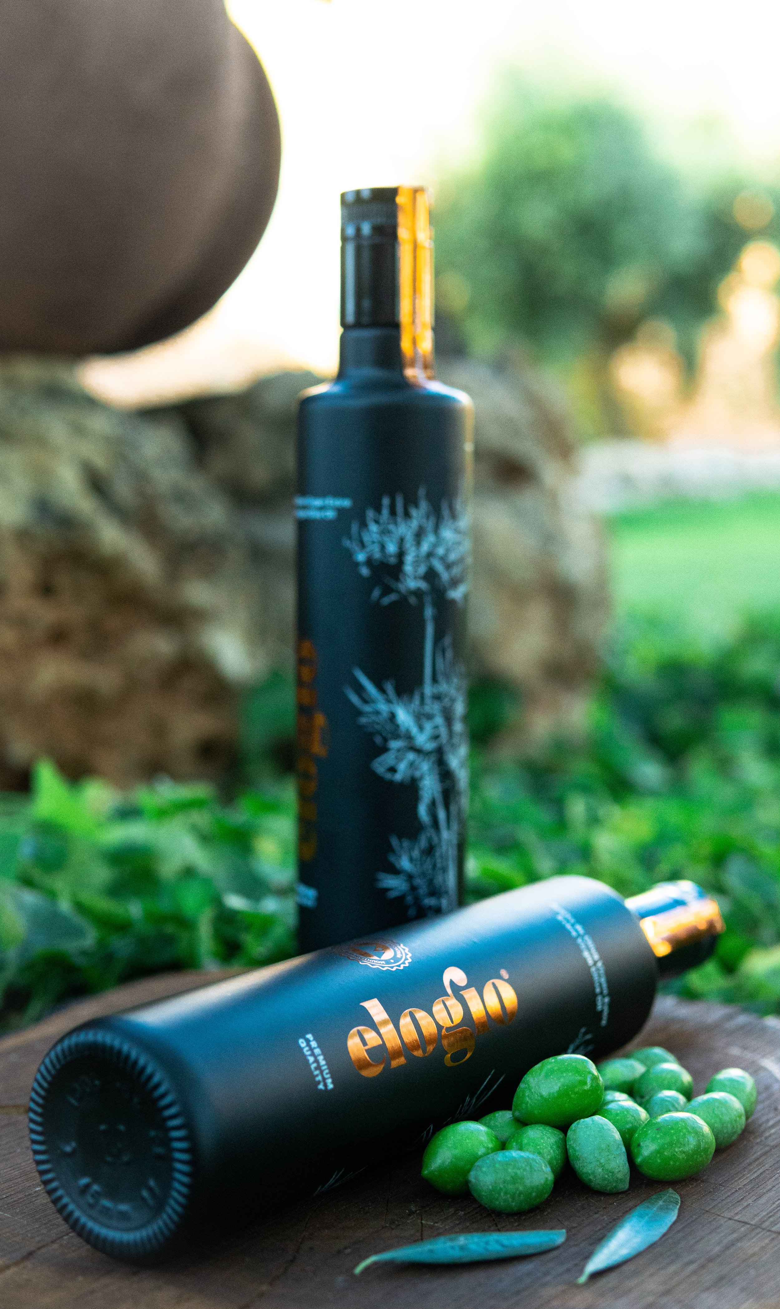 Premium Spanish extra virgin olive oil bottles from Sierra de Cazorla