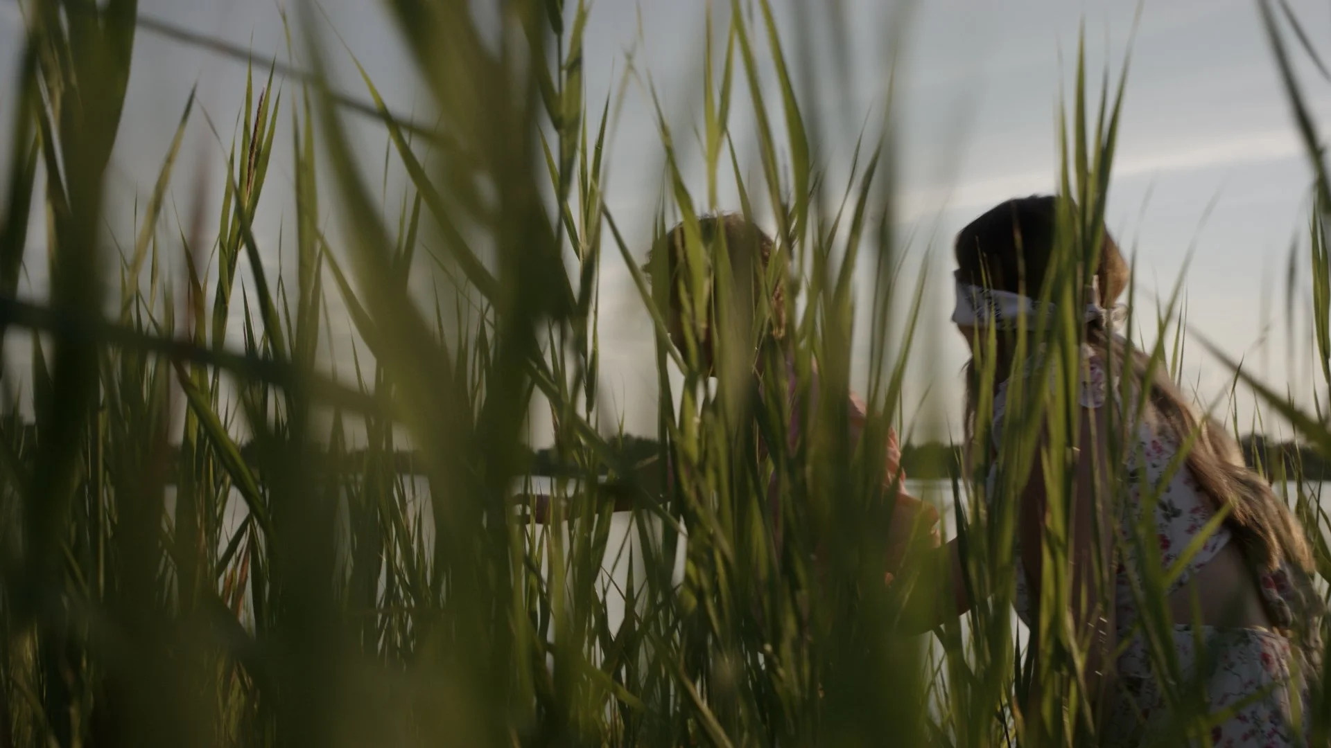 Sequence 01.00_03_40_09.Still006.jpg