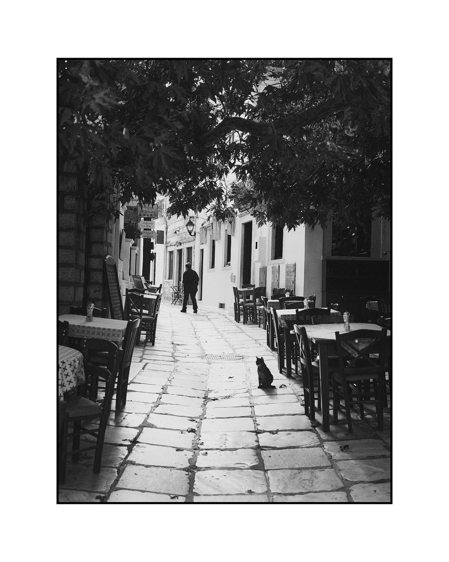 When you forget to switch your roll of B&amp;W during sunset 🌅😅

#mamiya7ⅱ #blackandwhitephotographylover