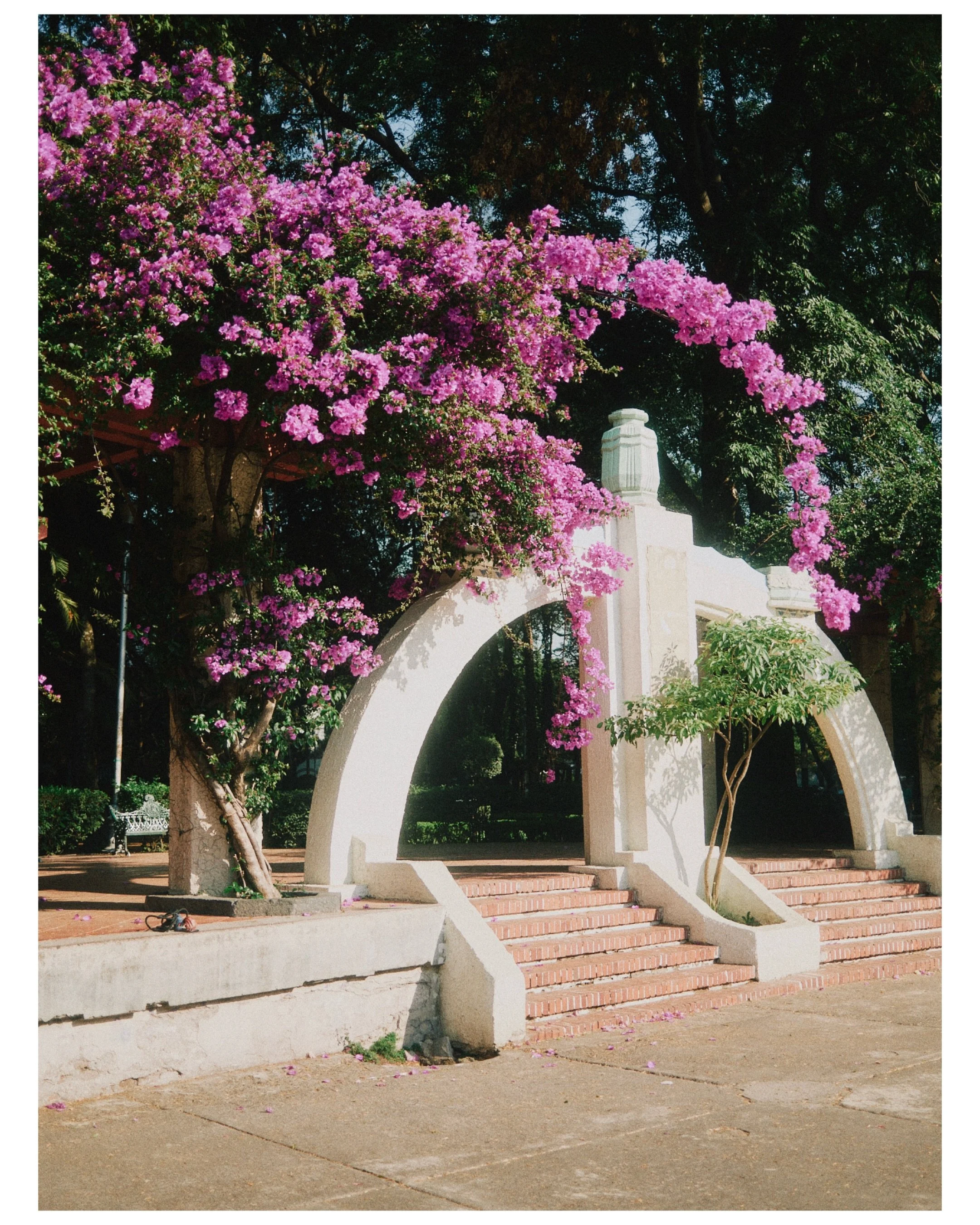 Solo trip &agrave; Mexico City avec ma Fujifilm x100vi 📸🇲🇽🌵

#streetpgotgraphy #fujifilmx100vi #mexicocity #cdmx