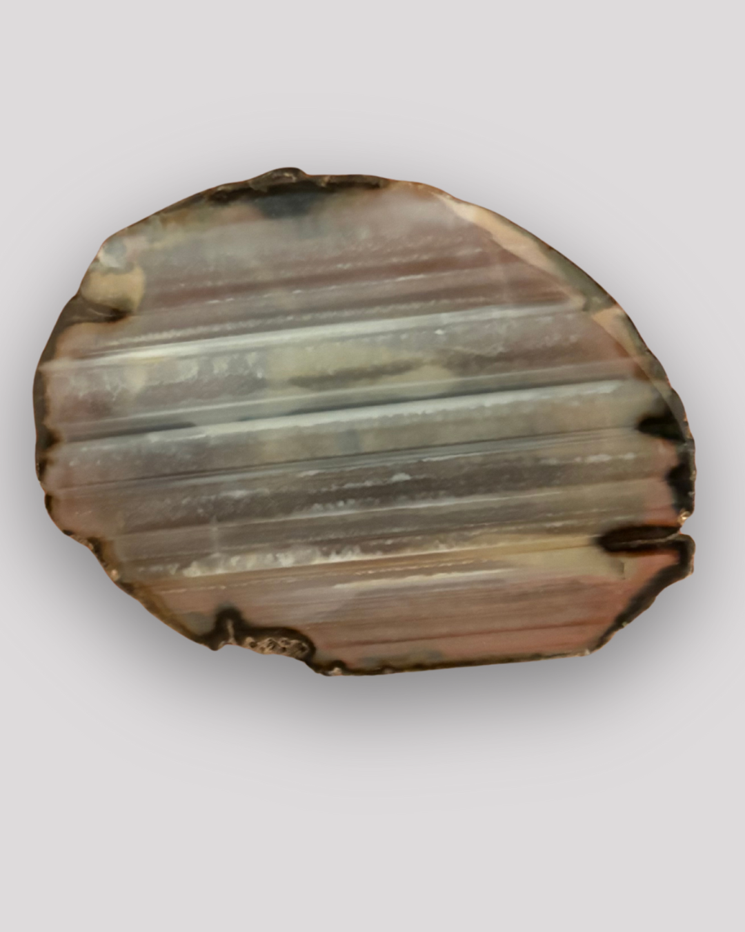 gray-buckle-agate-g-l-original.jpg.png