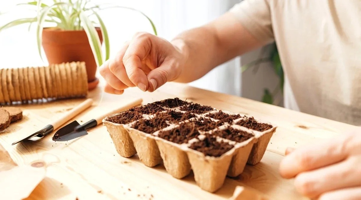 Start Your Cool-Season Veggies Indoors