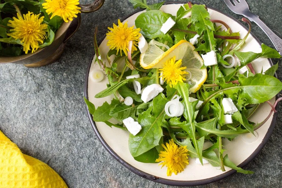 EDIBLE WEEDS - Culinary and Medicinal Benefits and Uses of Weeds, Saturday May 17 at 10:00 AM