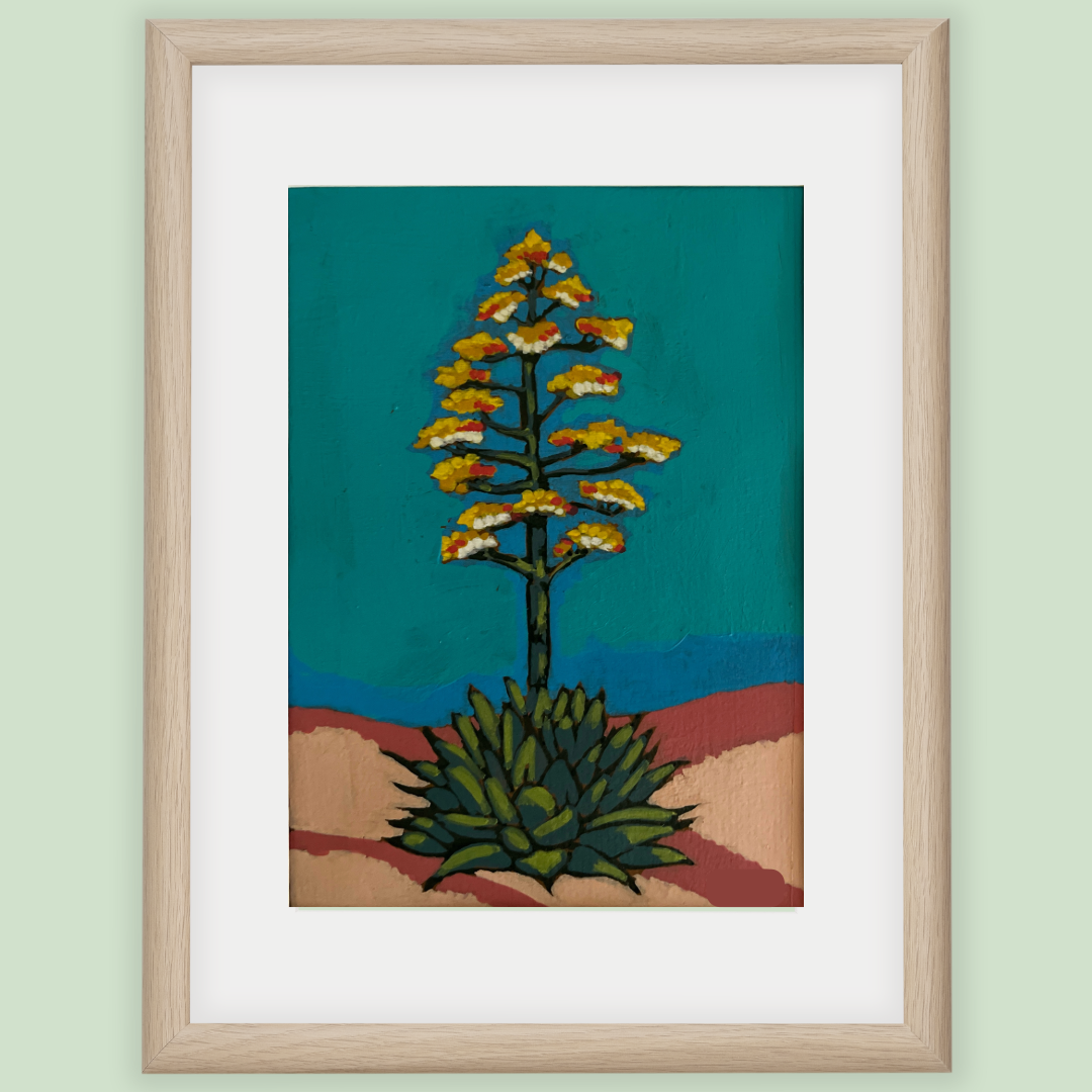 Century Plant in Bloom
