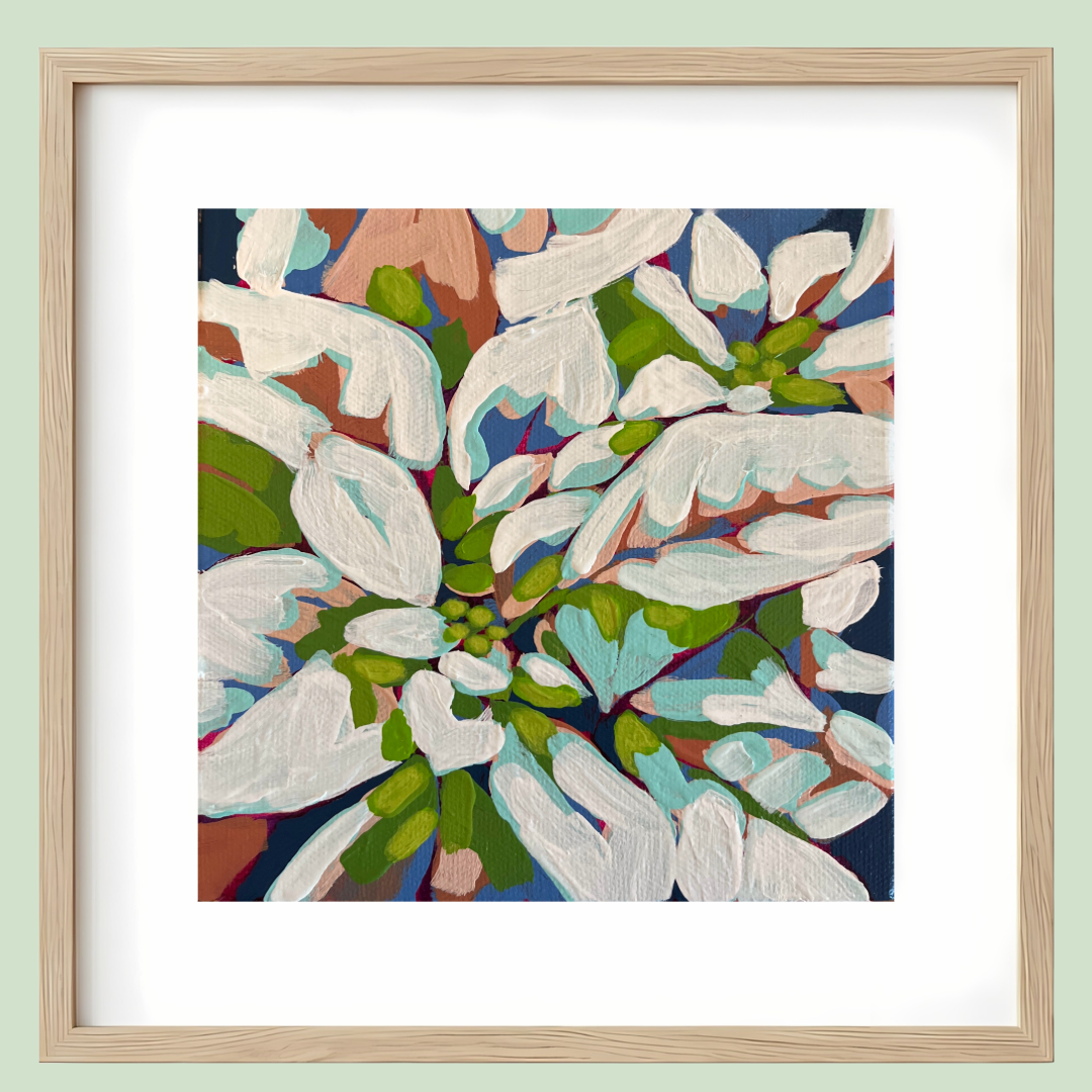 White Poinsettia