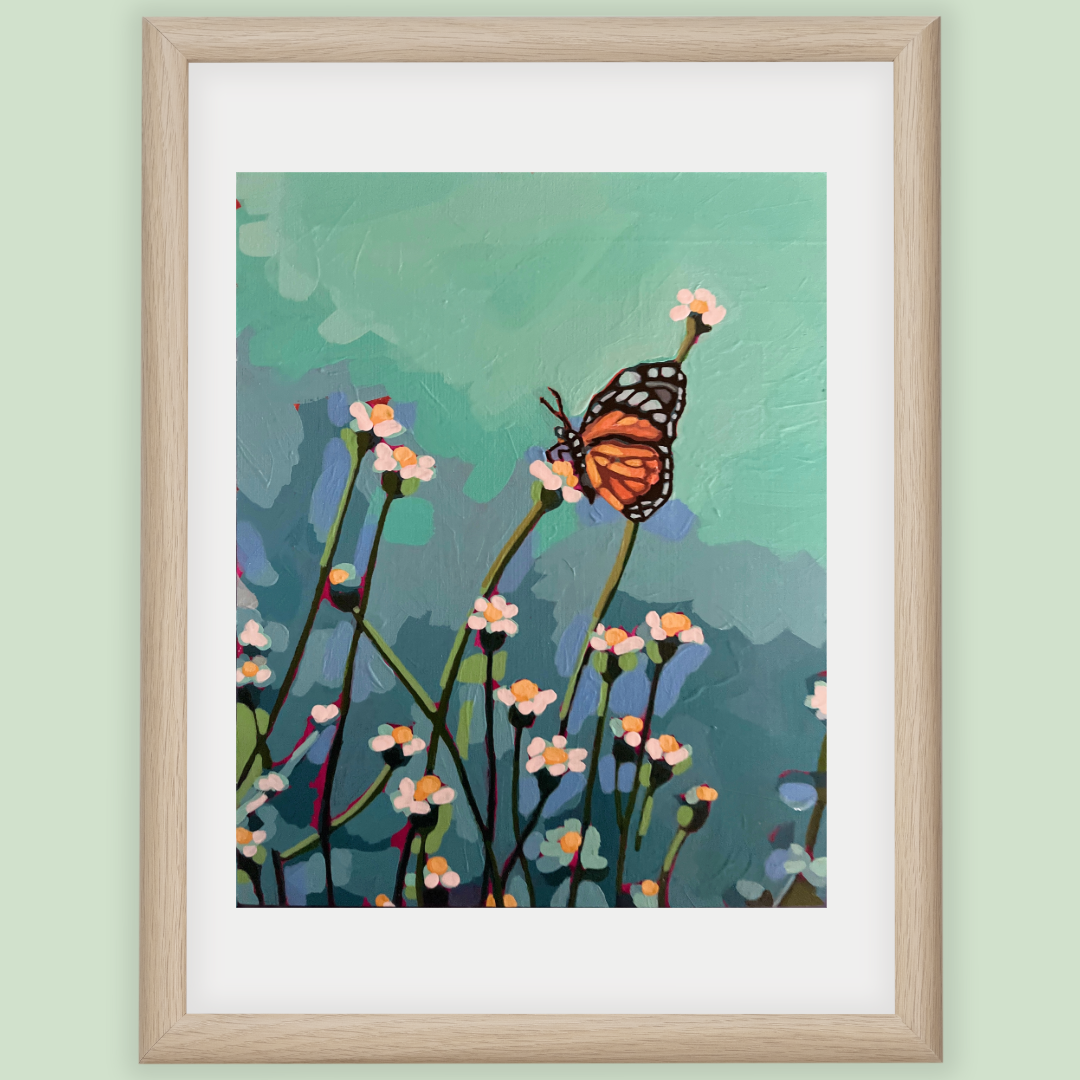 Butterfly in the Field