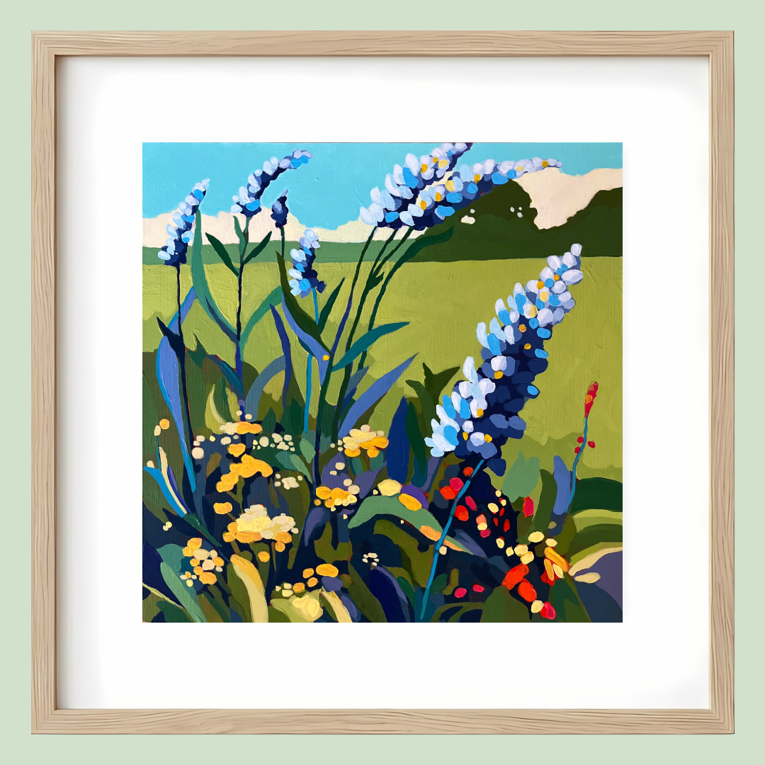 Summer Blooms