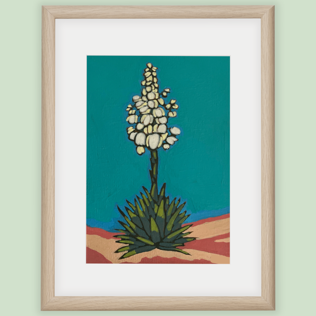 White Yucca