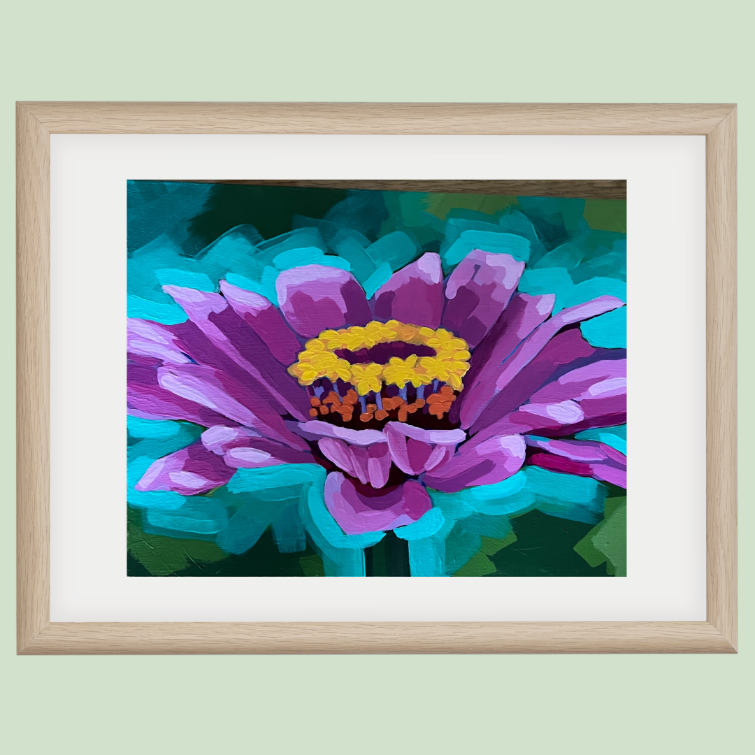 Zinnia