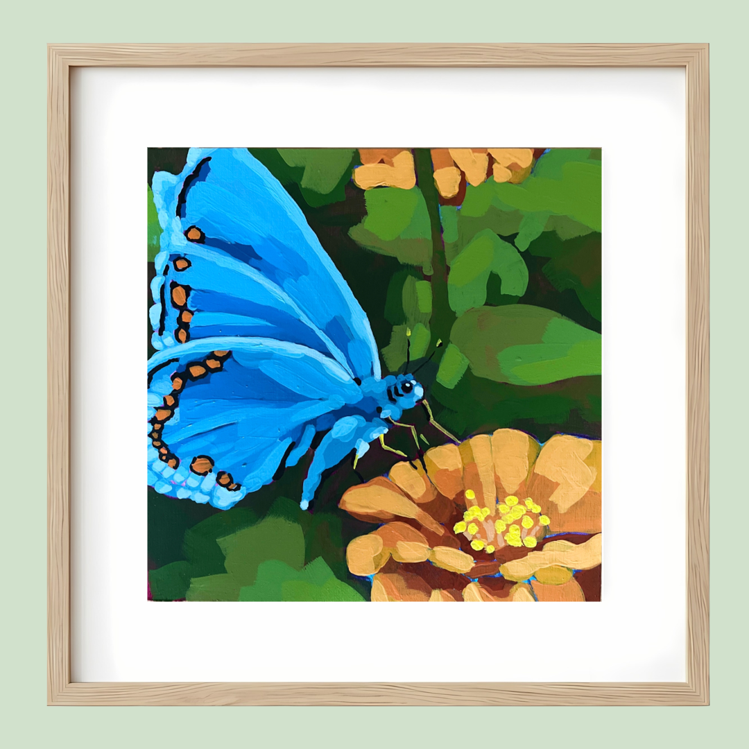 Butterfly and Zinnia