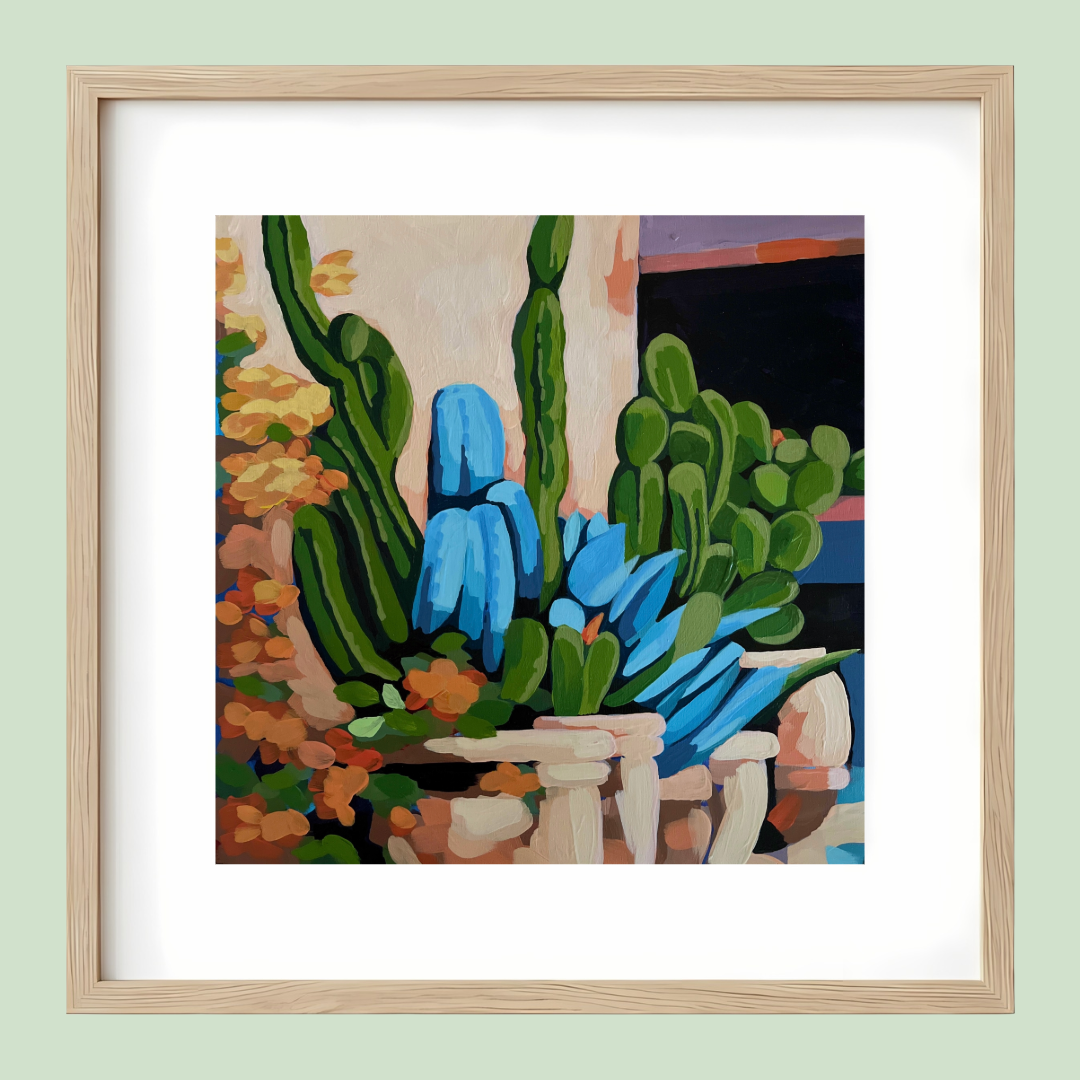Cacti in Pots