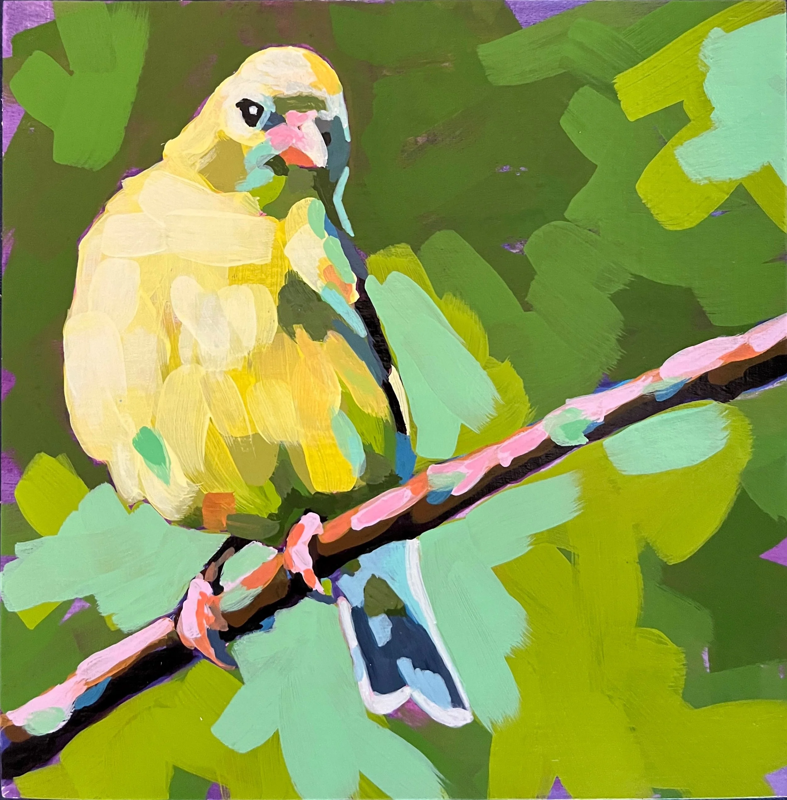 Gold Finch