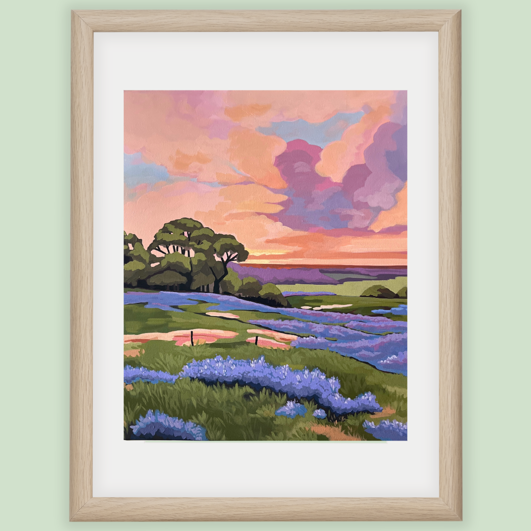 Texas Bluebonnets