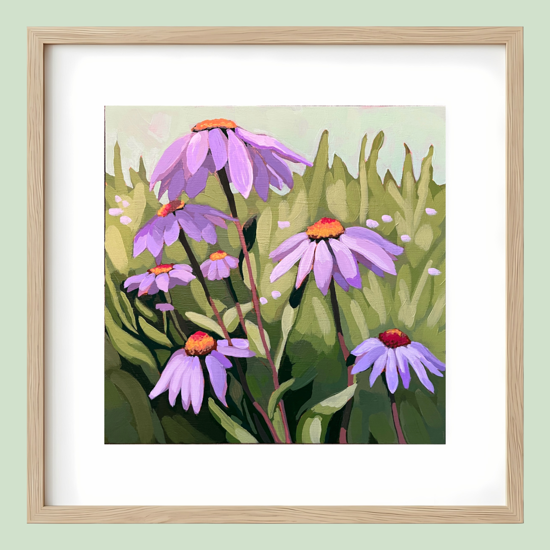 Purple Cone Flowers