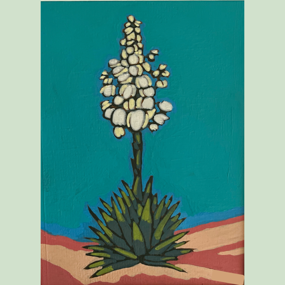 White Yucca