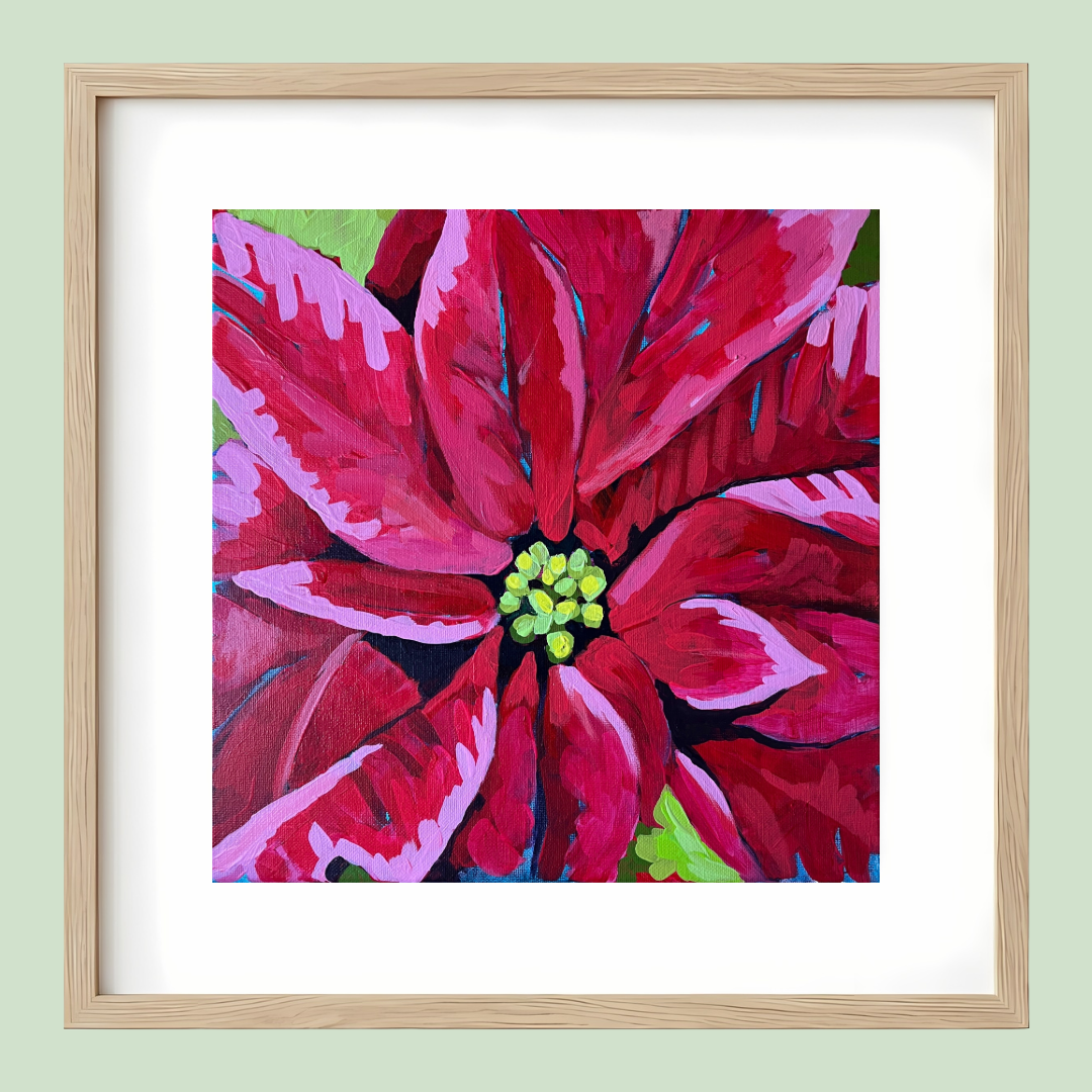 Poinsettia I
