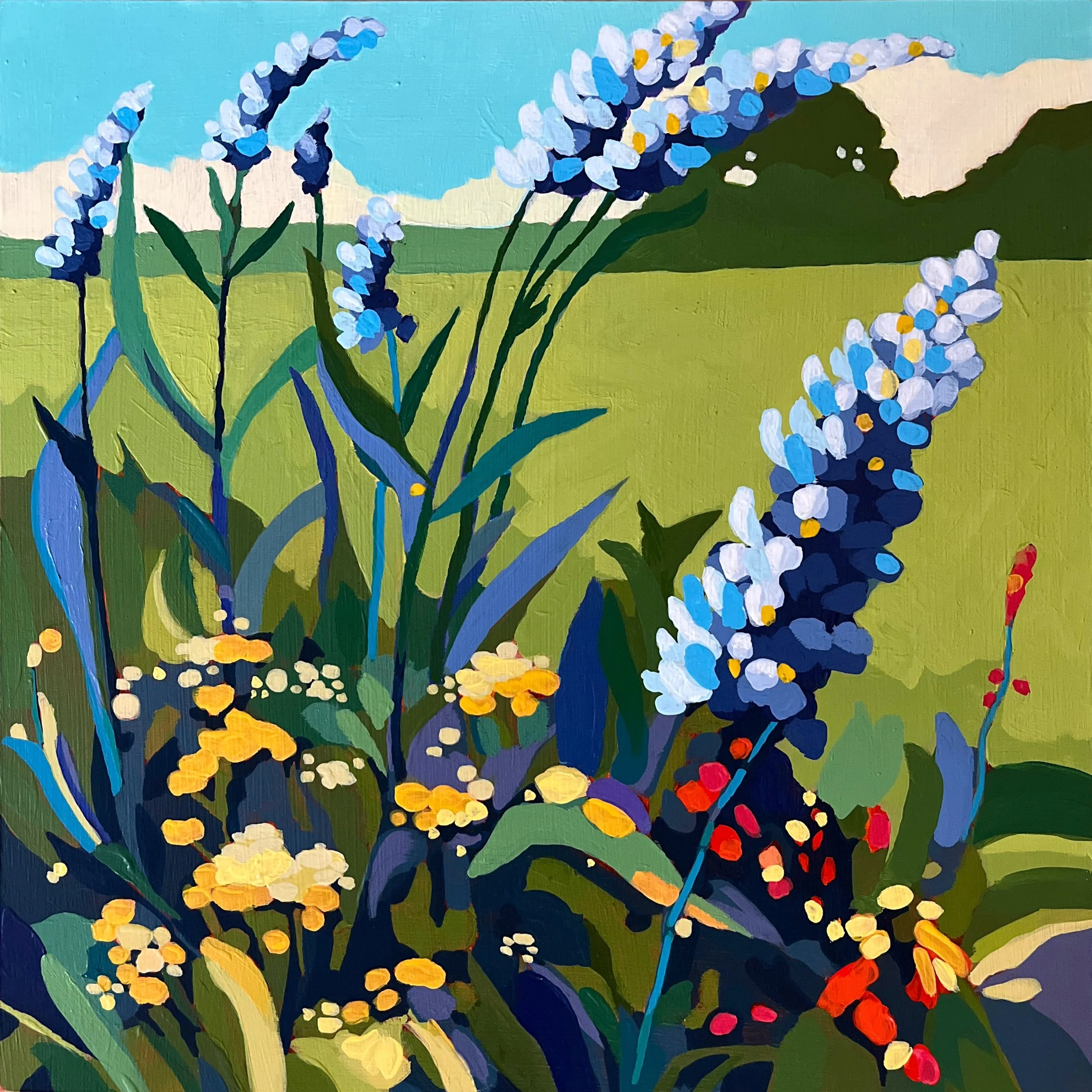Summer Blooms