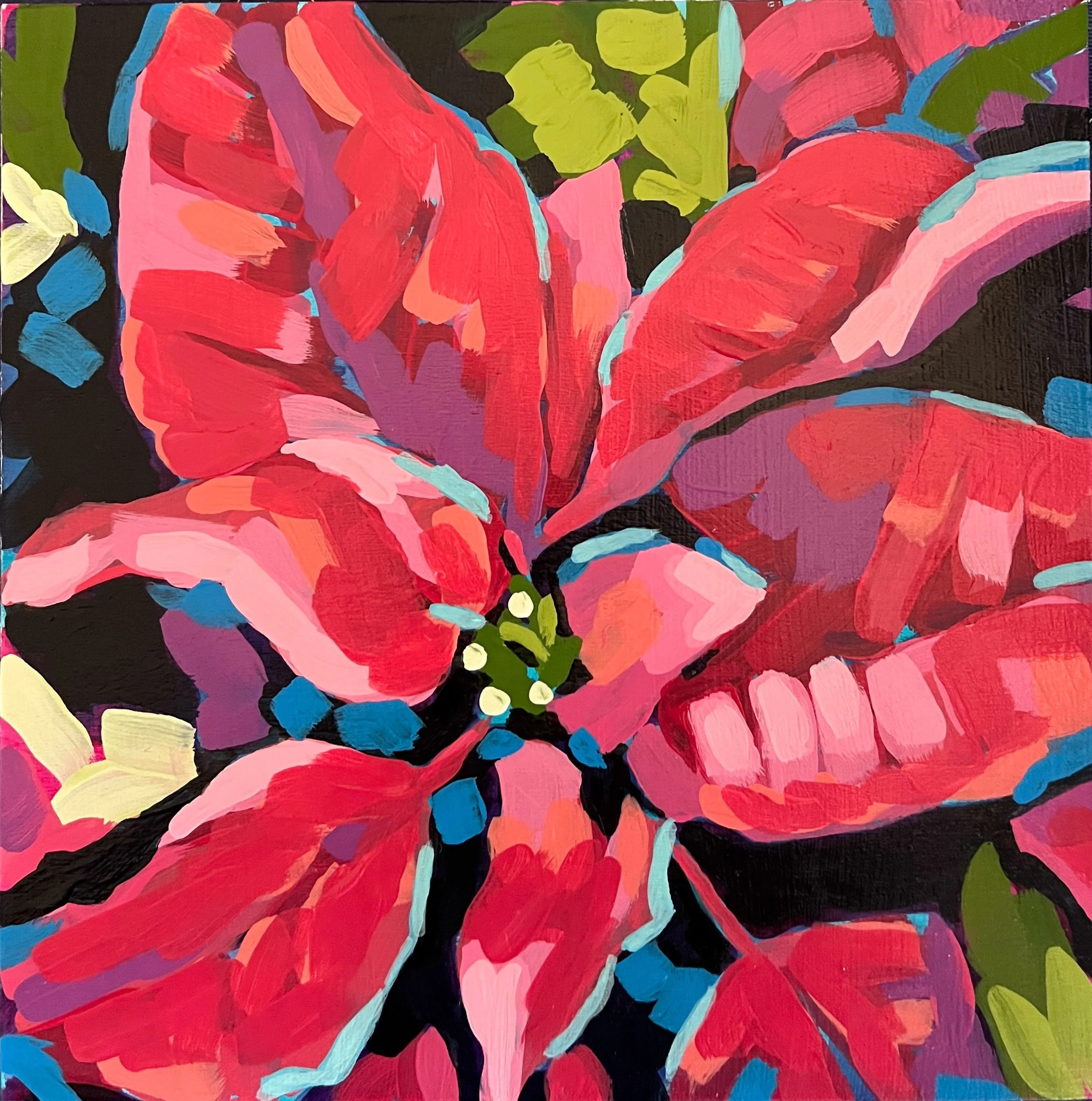 Poinsettia II