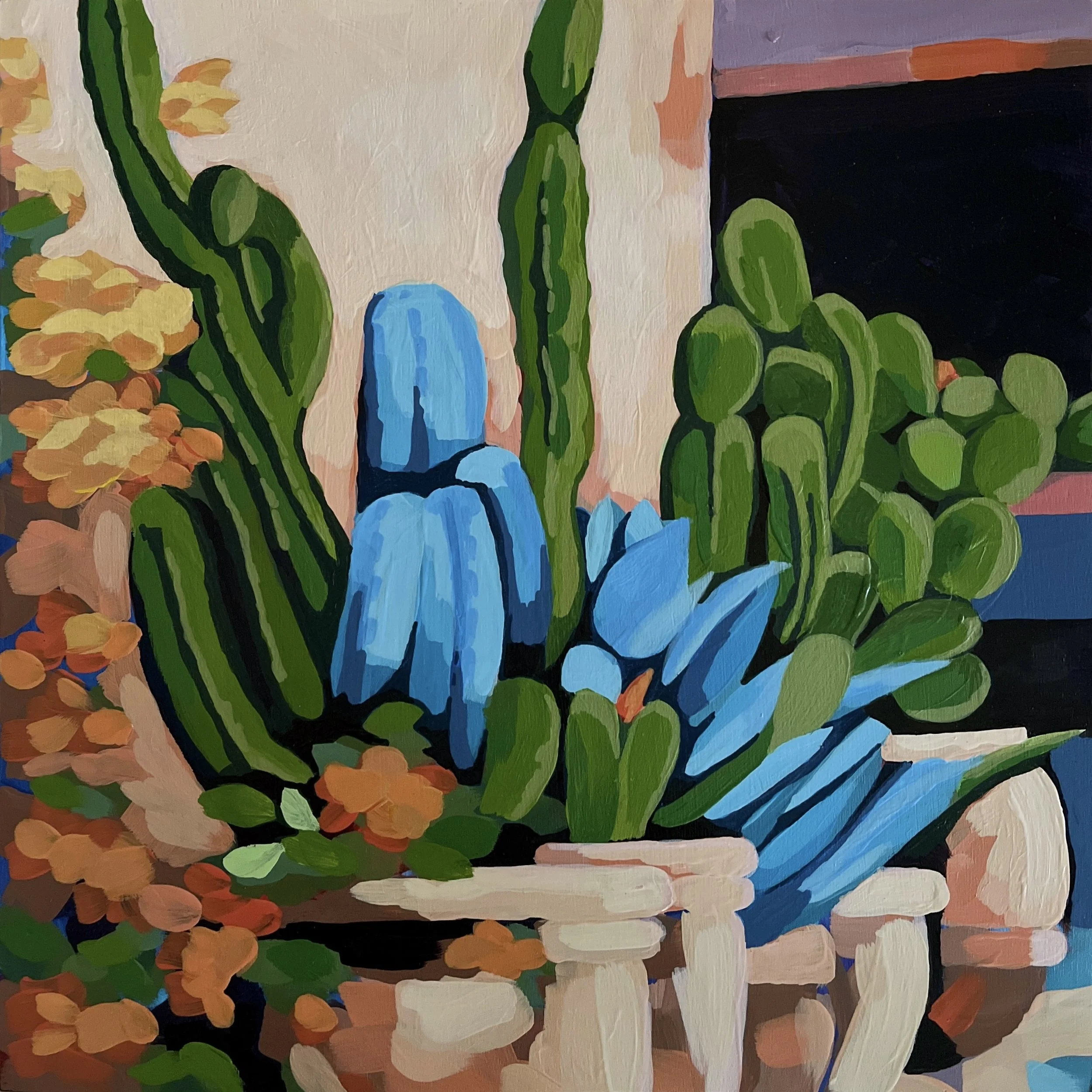 Cacti in Pots