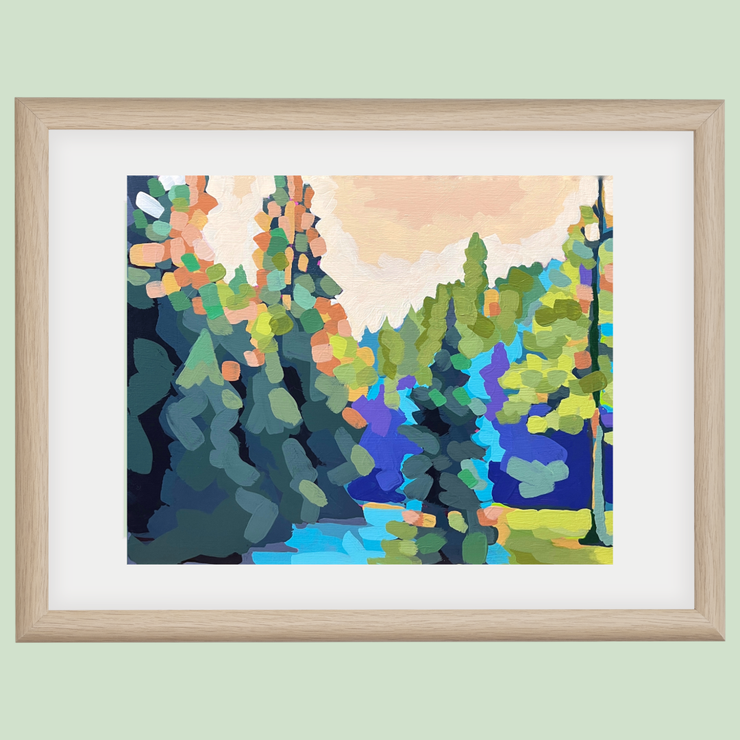 Forest Morning