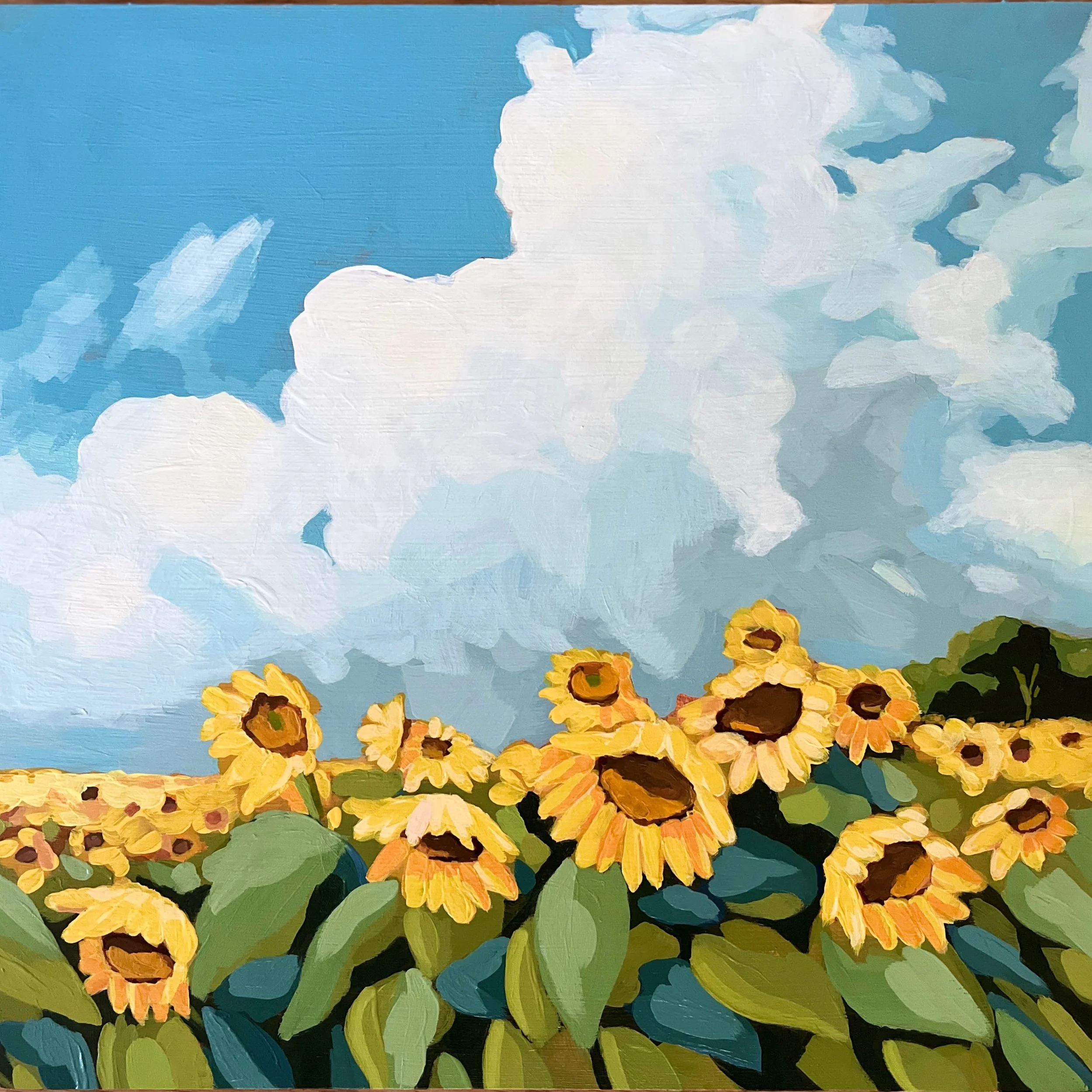 Sunflower Field