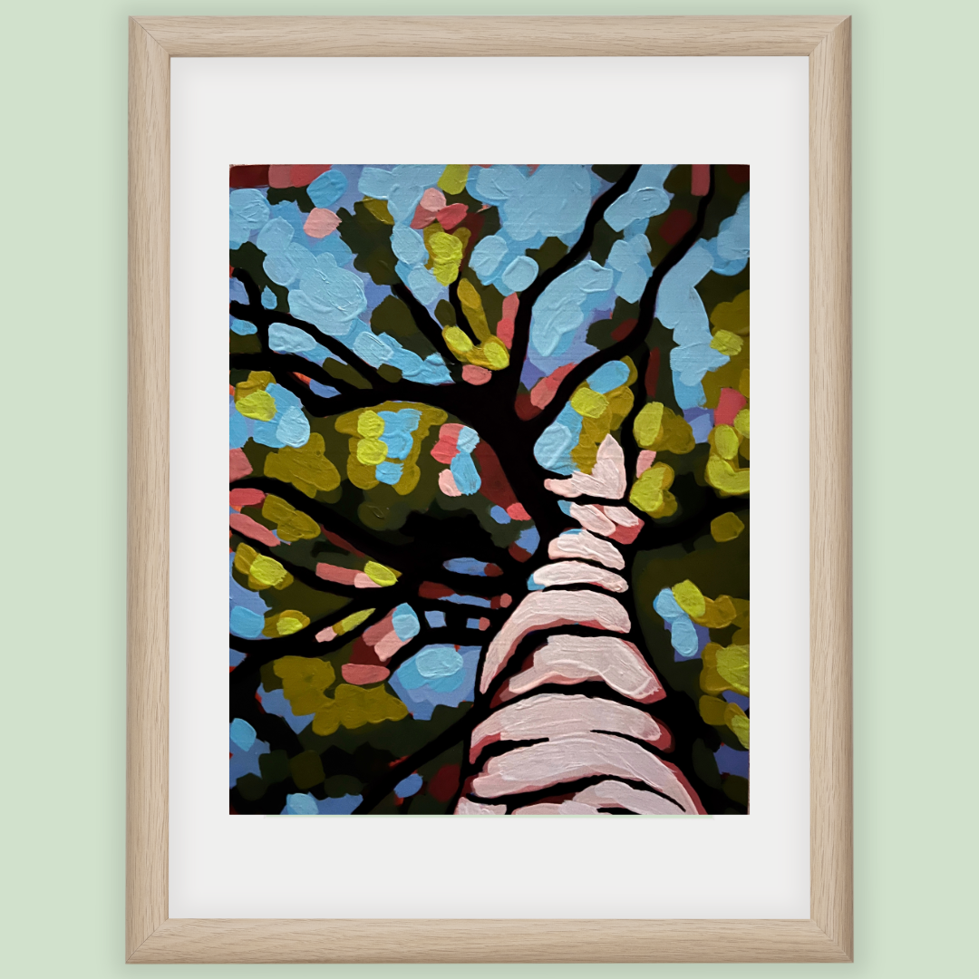 Spring Birch