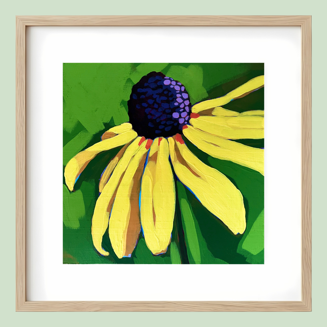 Black Eyed Susan