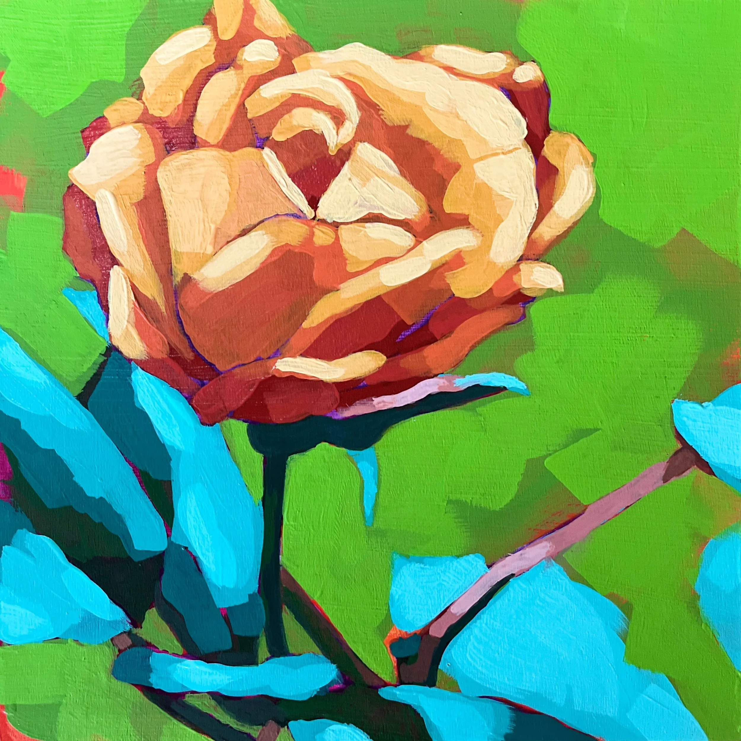 Orange Rose