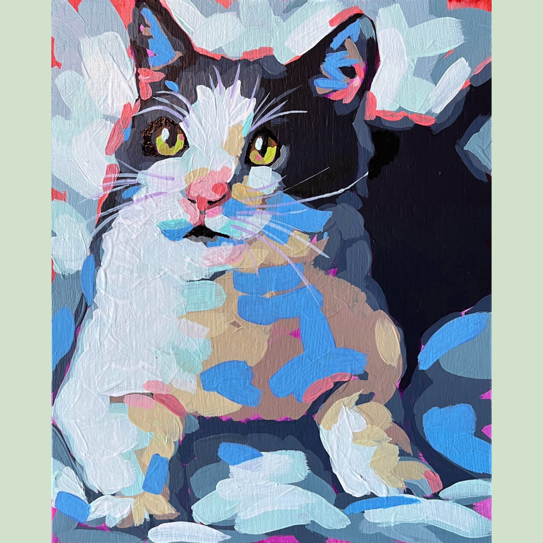 Tuxedo Cat